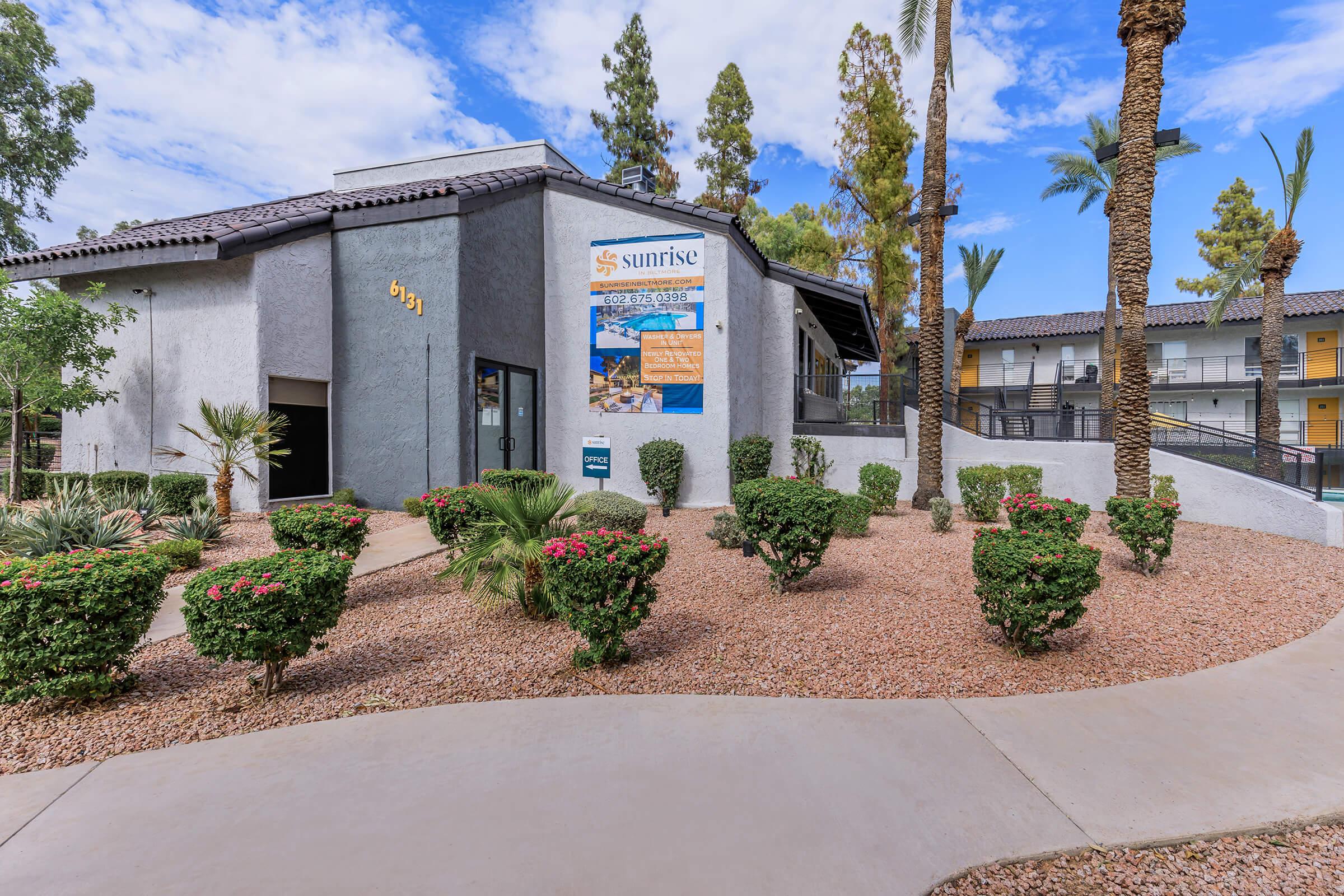 a palm tree in front of a building