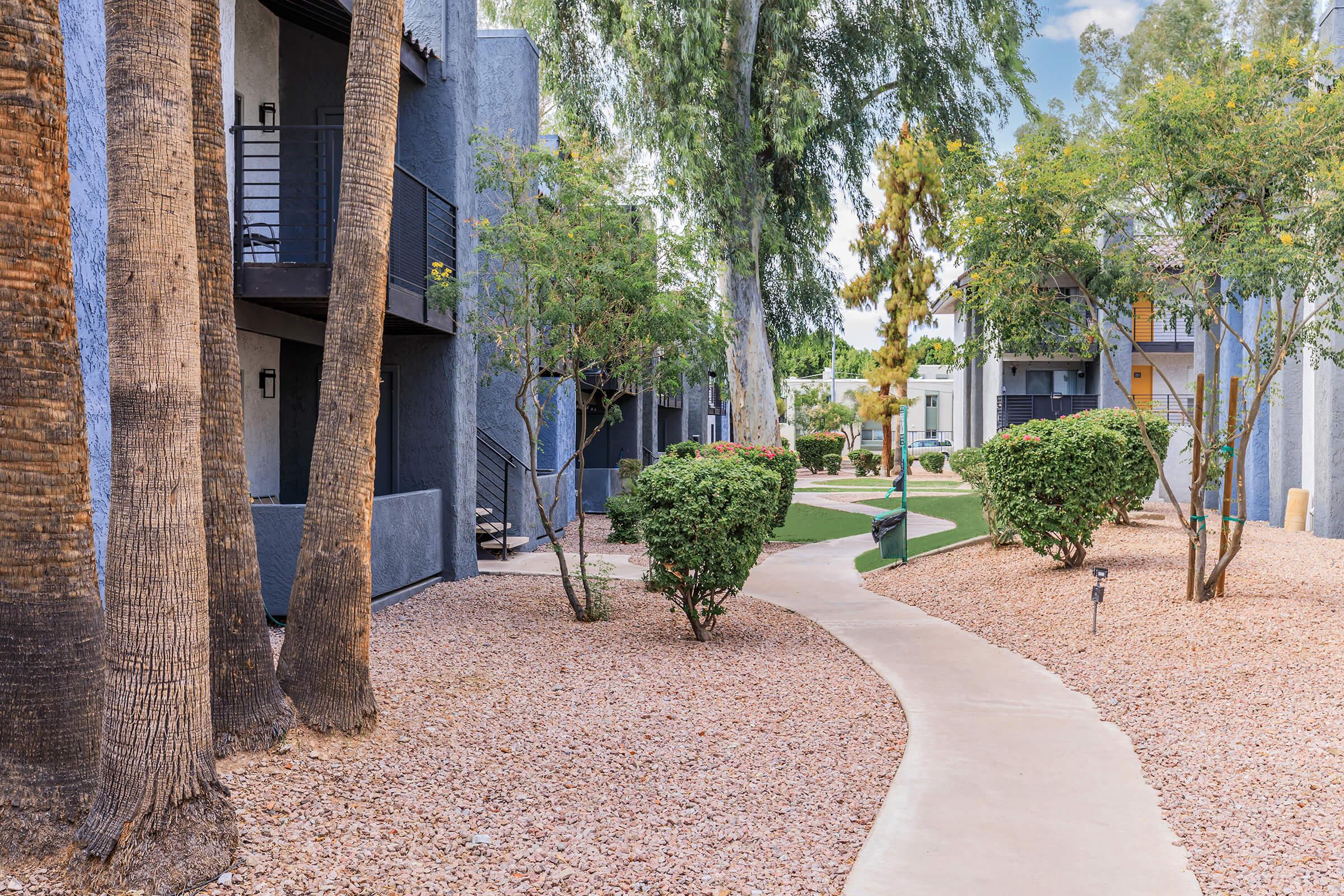 a path with trees on the side of a building