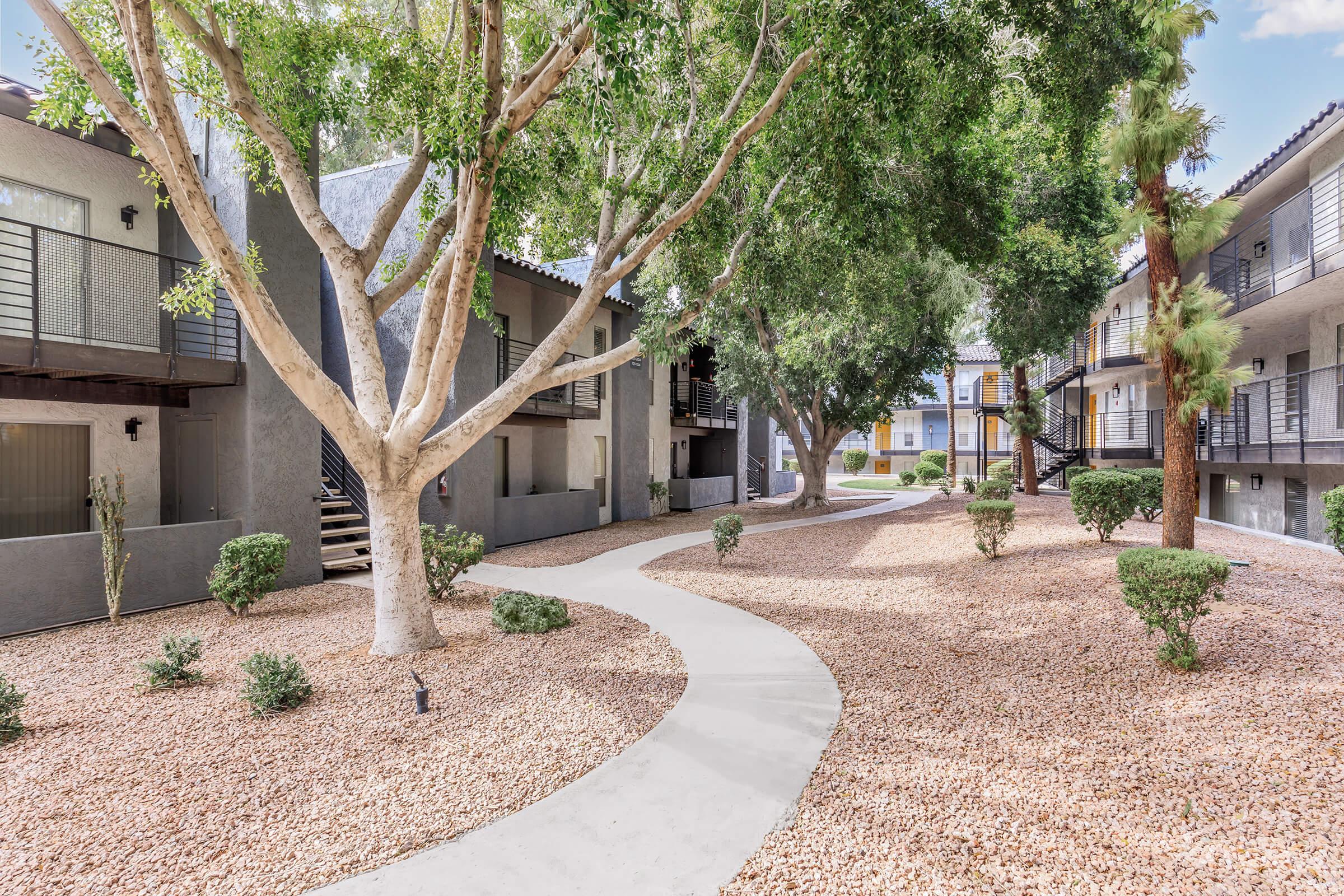 a path with trees on the side of a building