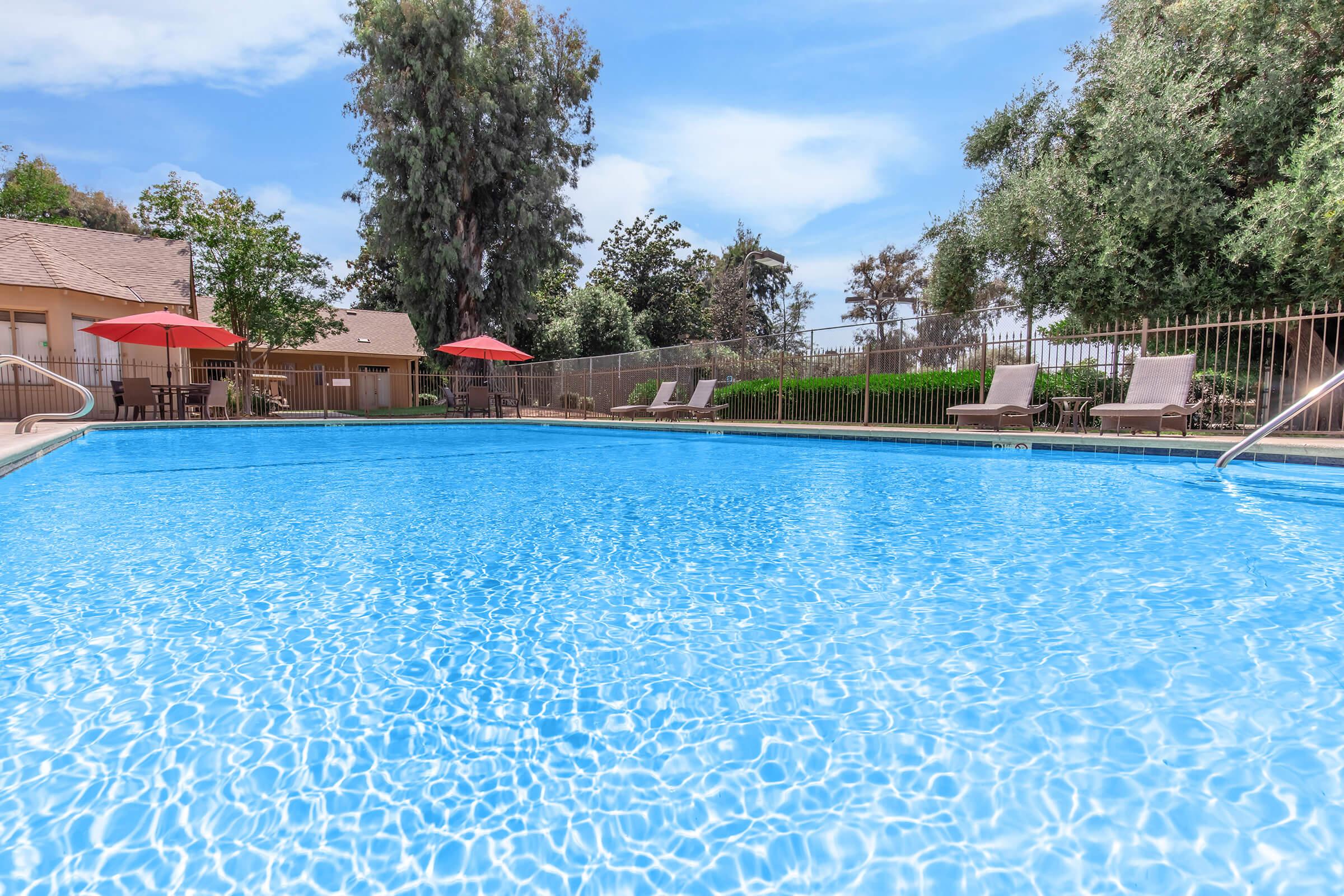 A clear swimming pool surrounded by lounge chairs and red umbrellas, with lush greenery and trees in the background. The scene is set under a bright blue sky, creating a serene and inviting atmosphere for relaxation.