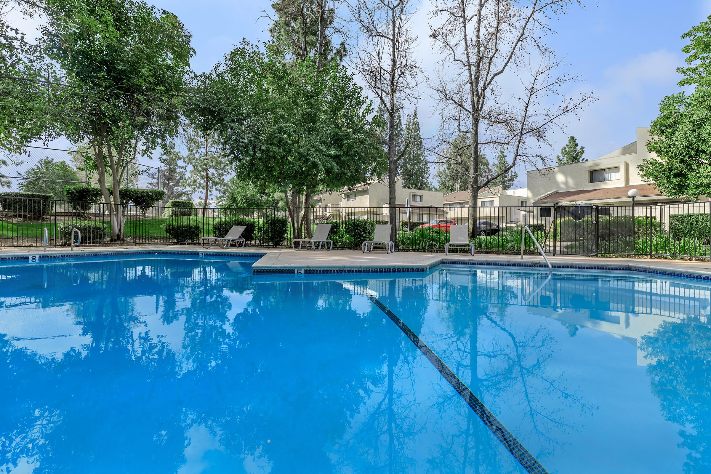 the community pool with green trees