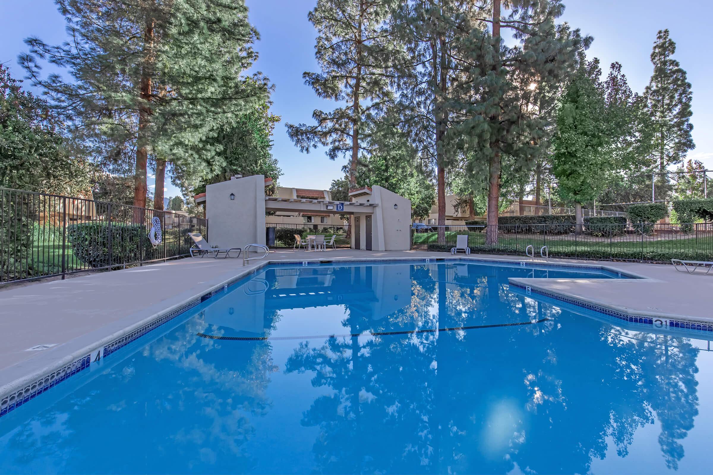 A serene outdoor swimming pool surrounded by tall pine trees. The clear blue water reflects the vibrant greenery and a fenced area enhances privacy. There are several lounge chairs positioned around the pool, and a covered patio area in the background for shade and relaxation.