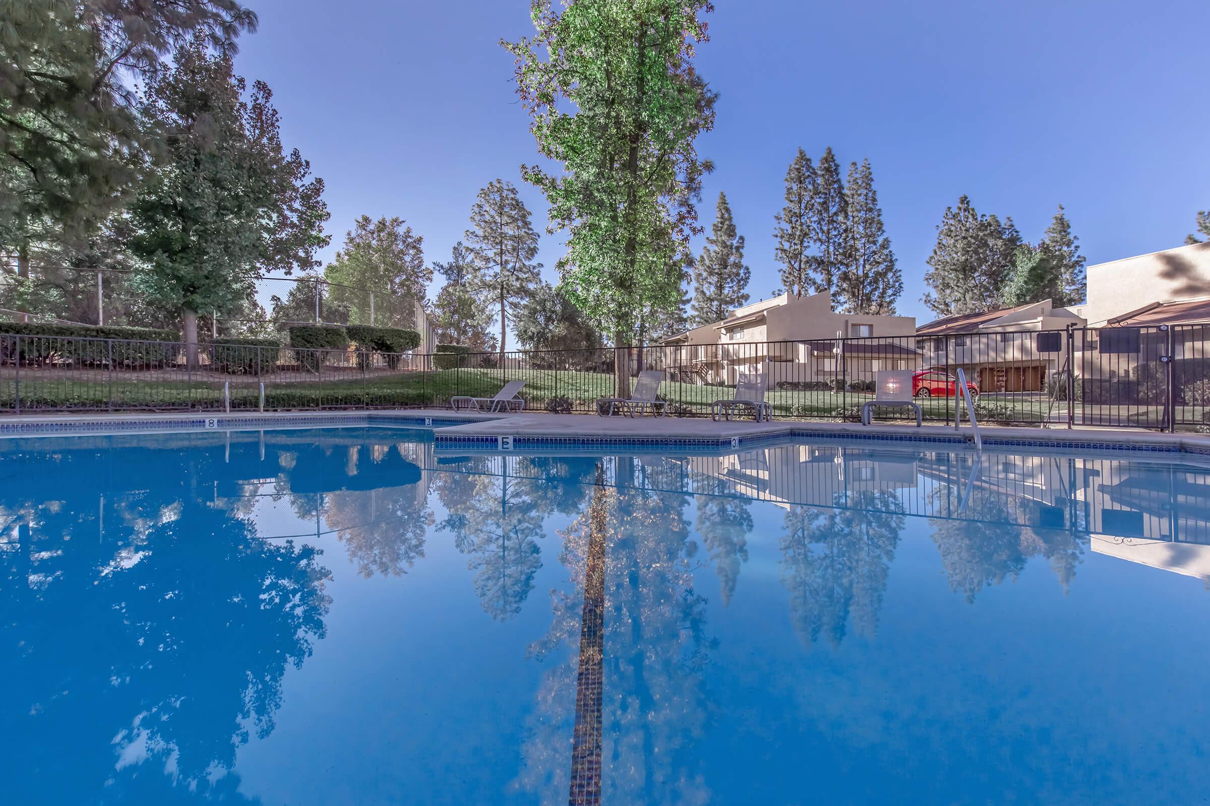 A clear swimming pool reflecting trees and buildings in the background on a sunny day. The pool area is surrounded by a black fence, and lounge chairs are positioned around the poolside. Lush greenery enhances the serene atmosphere of the scene.
