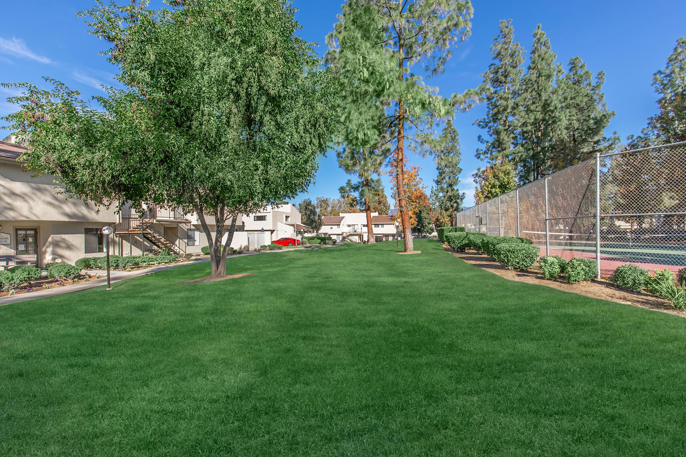 A well-maintained green lawn stretches between residential buildings, with tall trees providing shade. In the background, a tennis court is enclosed by a chain-link fence. The sky is clear and blue, creating a bright and inviting atmosphere.