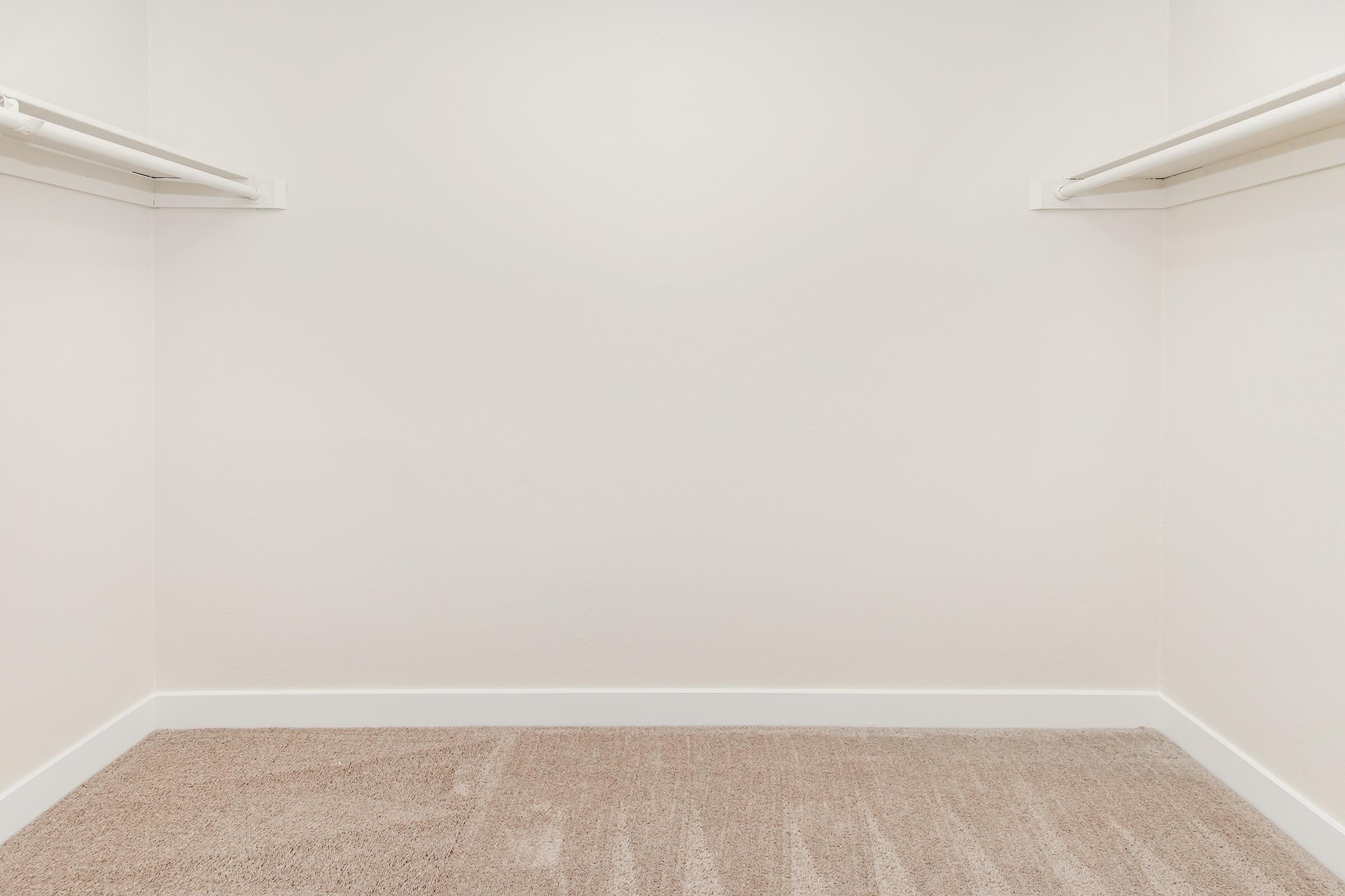 Empty closet with white walls and two hanging rods. The floor is covered with beige carpet, and there are no items or clutter visible, creating a spacious and clean appearance.