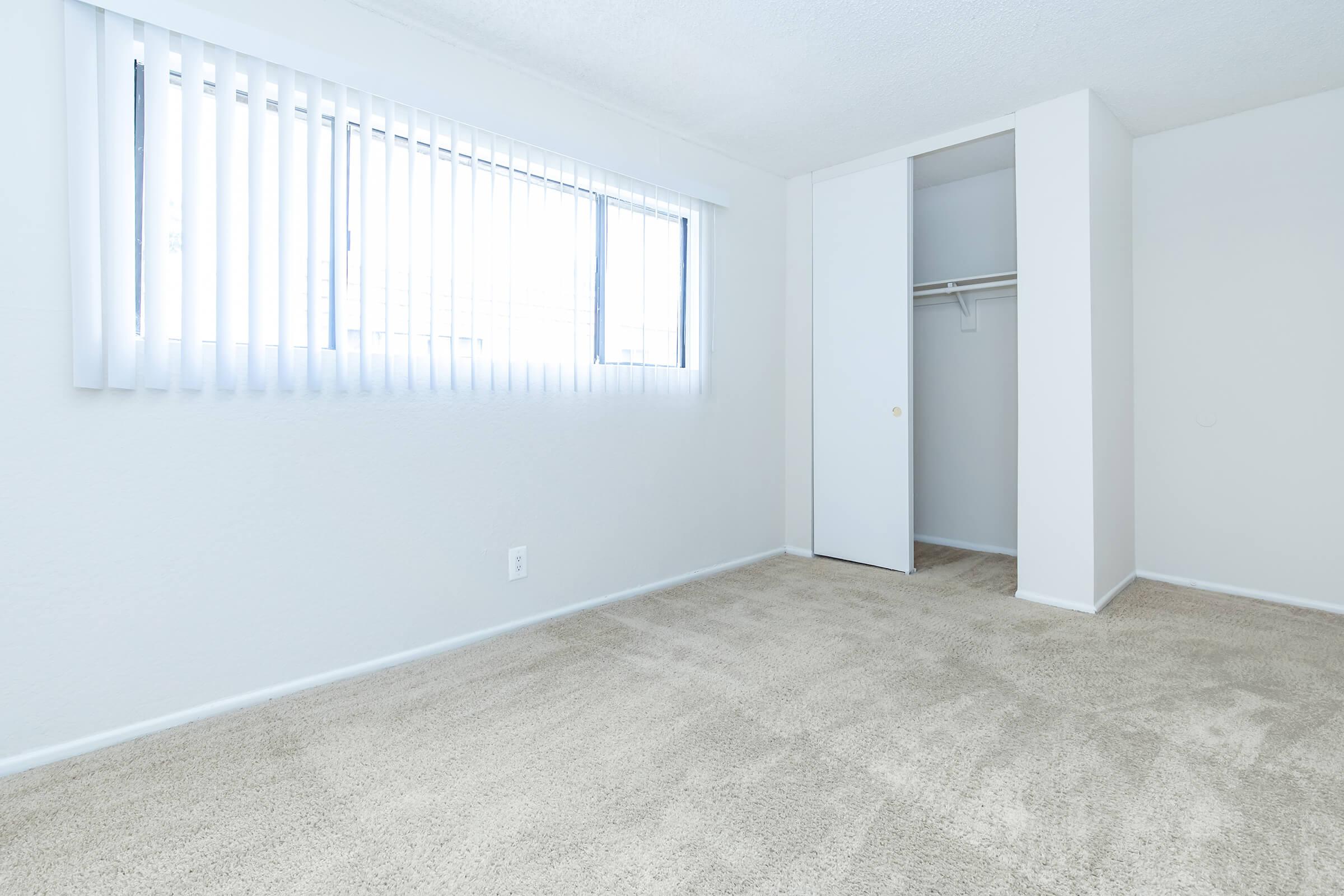 carpeted bedroom with an open sliding closet doors