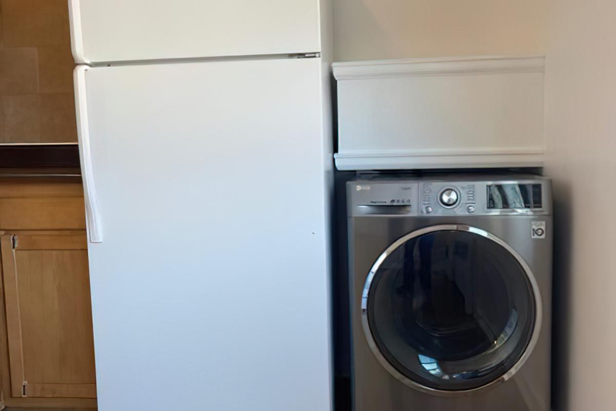 A white refrigerator and a silver front-loading washing machine side by side in a kitchen setting. The refrigerator has a smooth surface, while the washing machine features a digital control panel and large glass door. The wall behind is light-colored, indicating a clean, modern space.