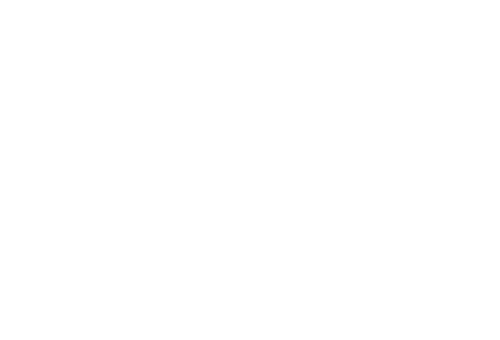 Southwest Village ebrochure logo