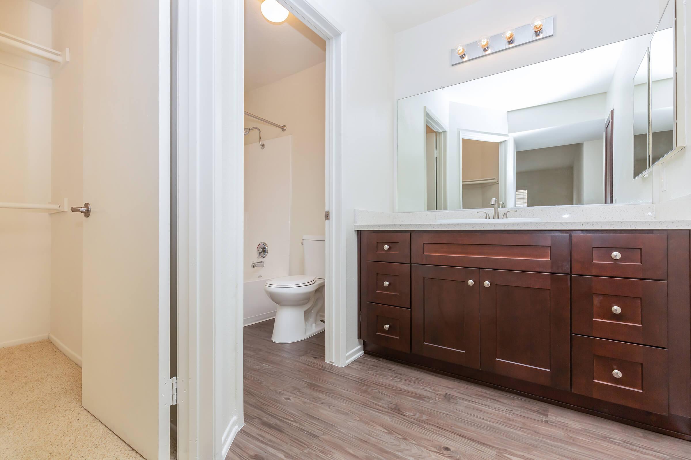 Bathroom sink with open doors showing closet and toilet