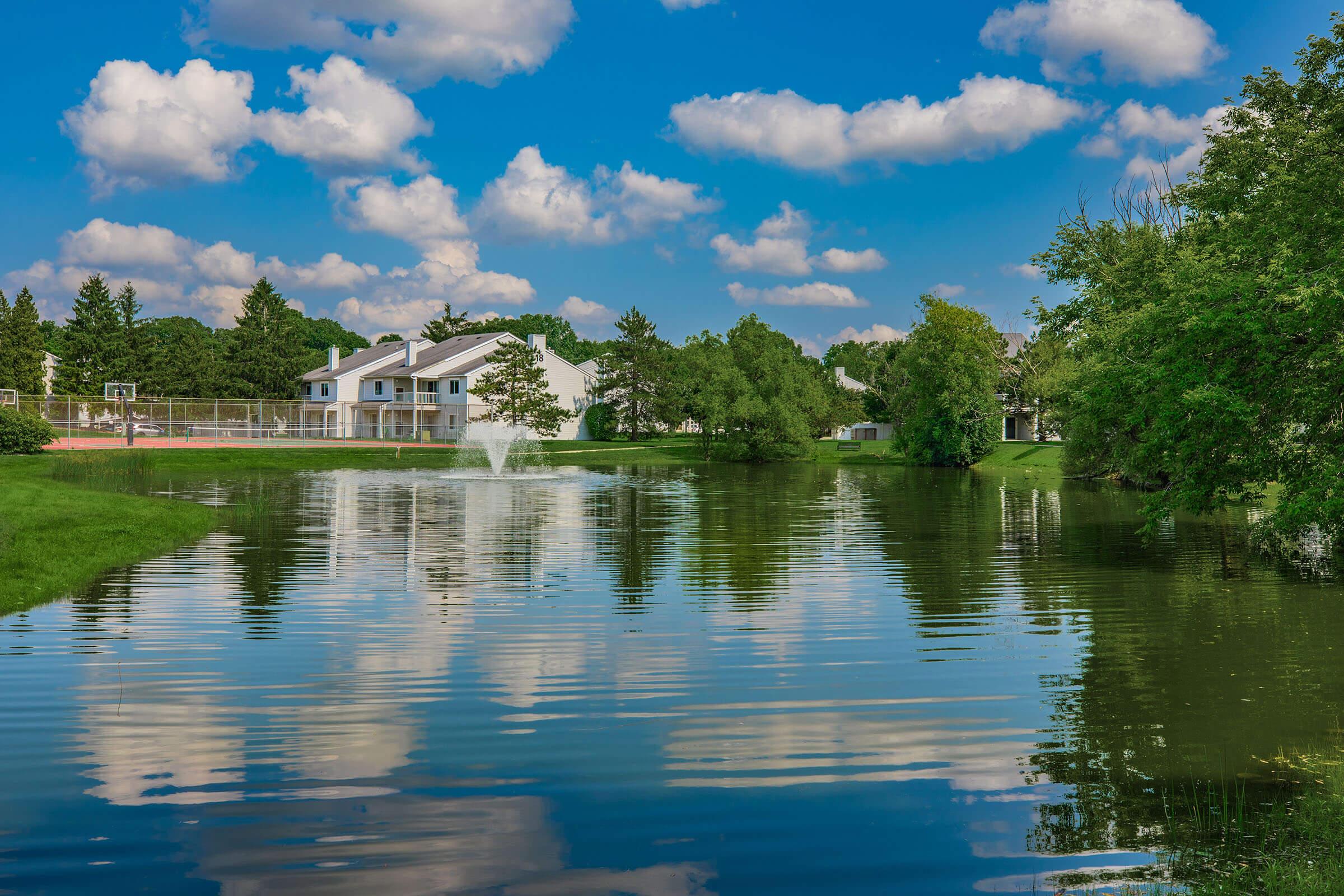 a body of water surrounded by trees