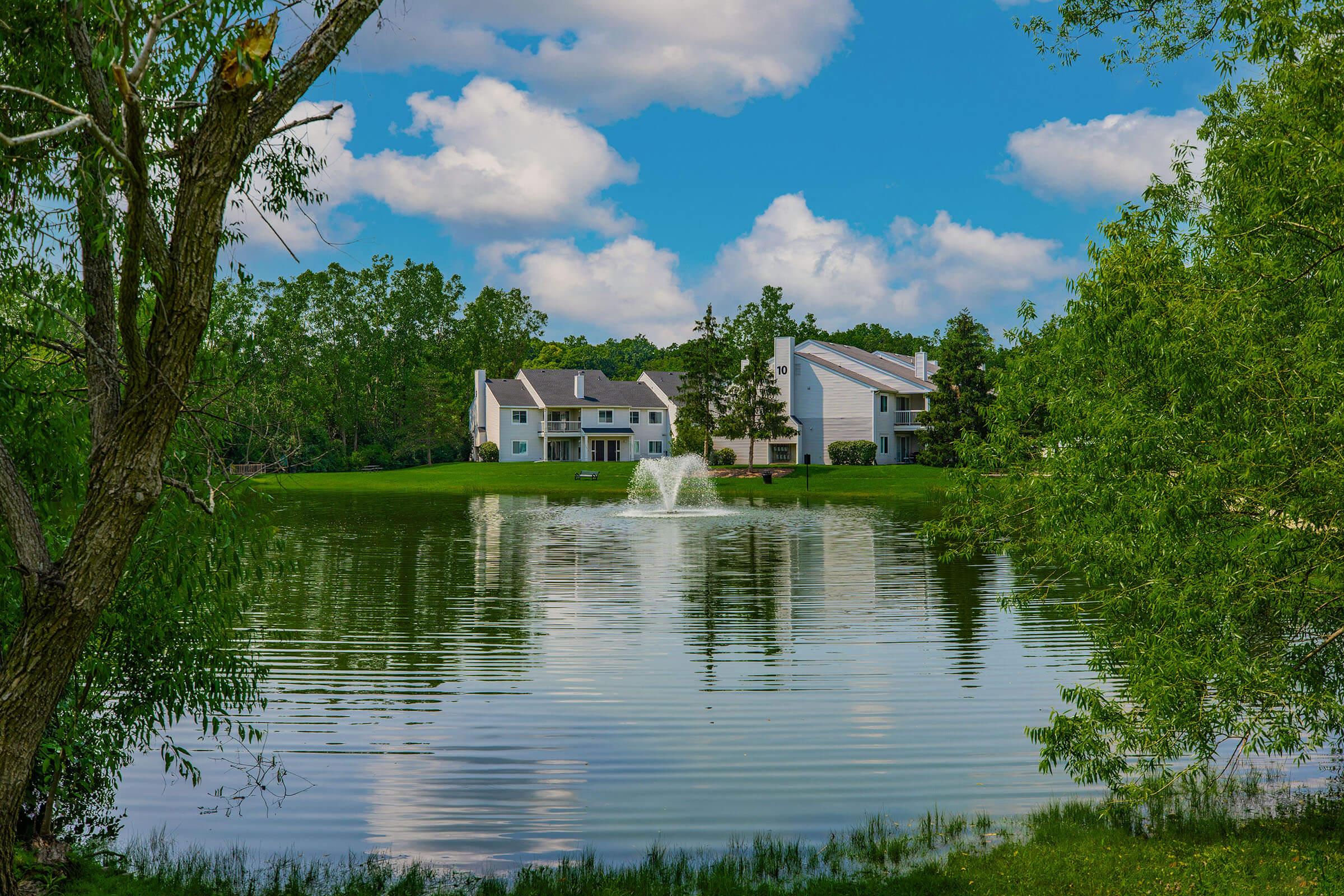 a body of water surrounded by trees