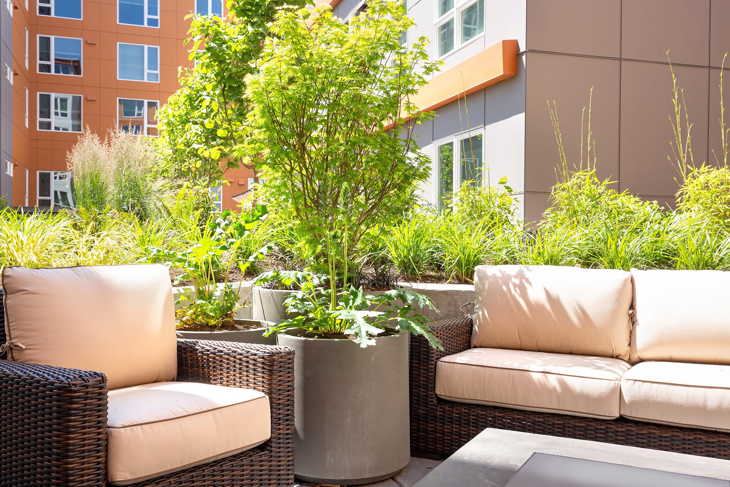 A cozy outdoor seating area featuring two cushioned chairs made of wicker, positioned near a planter with lush greenery. Sunlight illuminates the space, surrounded by modern buildings and a vibrant garden atmosphere. Perfect for relaxation or social gatherings.