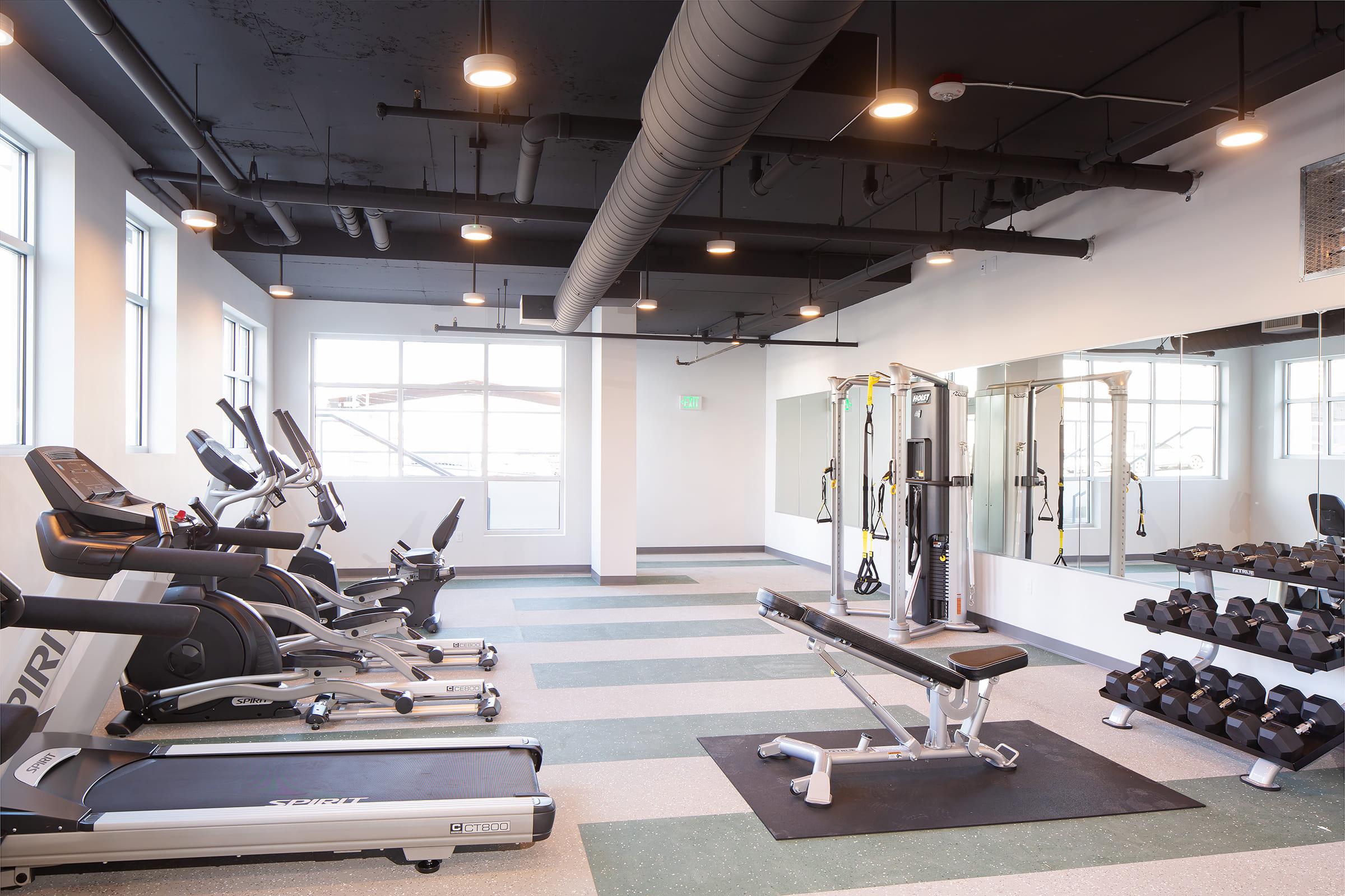 A bright and modern gym interior featuring cardio machines, a weight bench, and a rack of dumbbells. The space has large windows allowing natural light, with a sleek design characterized by high ceilings and industrial-style lighting.