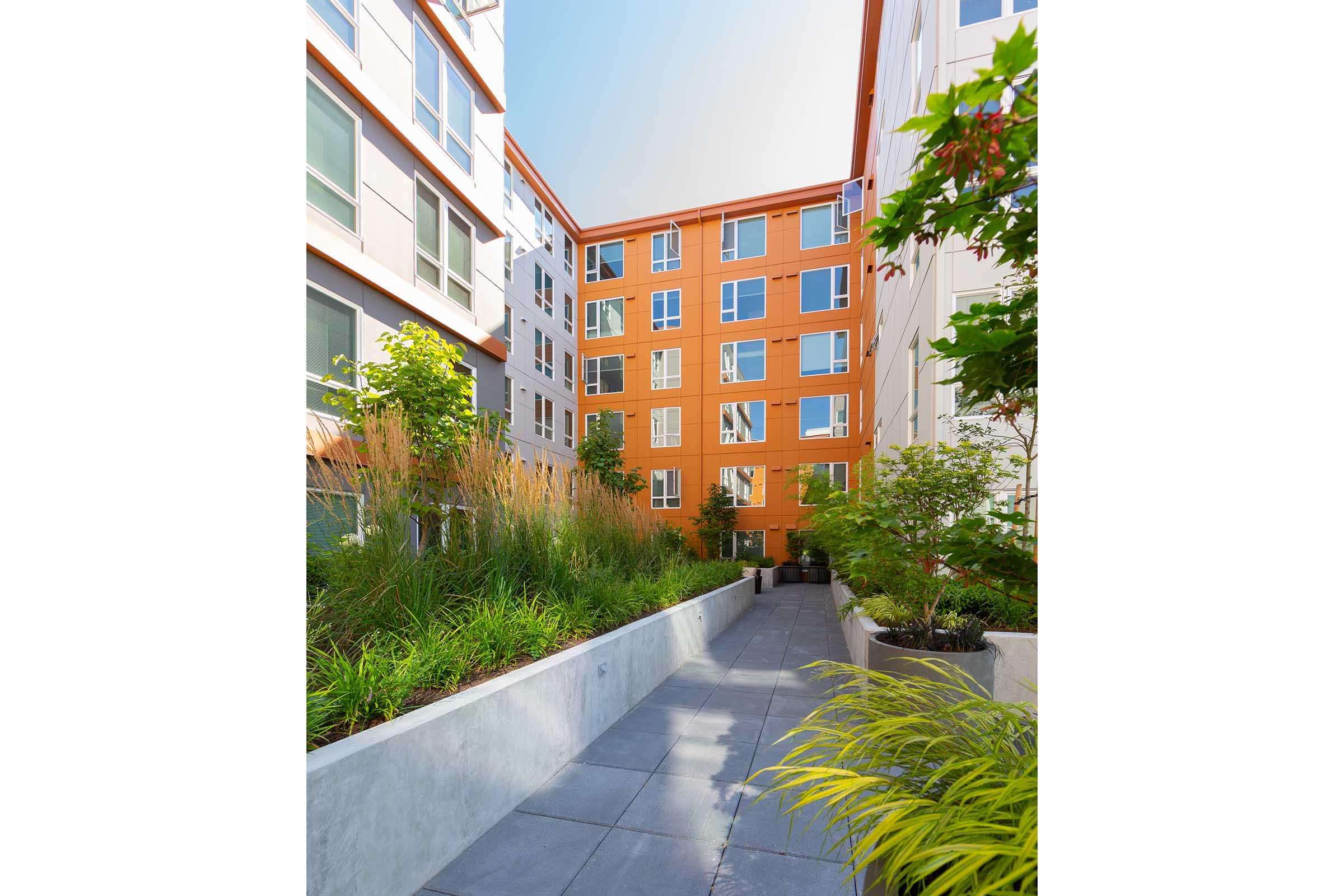 A modern apartment community with a landscaped courtyard. The image shows a pathway flanked by green plants and grass, leading towards a multicolored building with large windows. The surrounding area features greenery adding to the inviting atmosphere of the space.