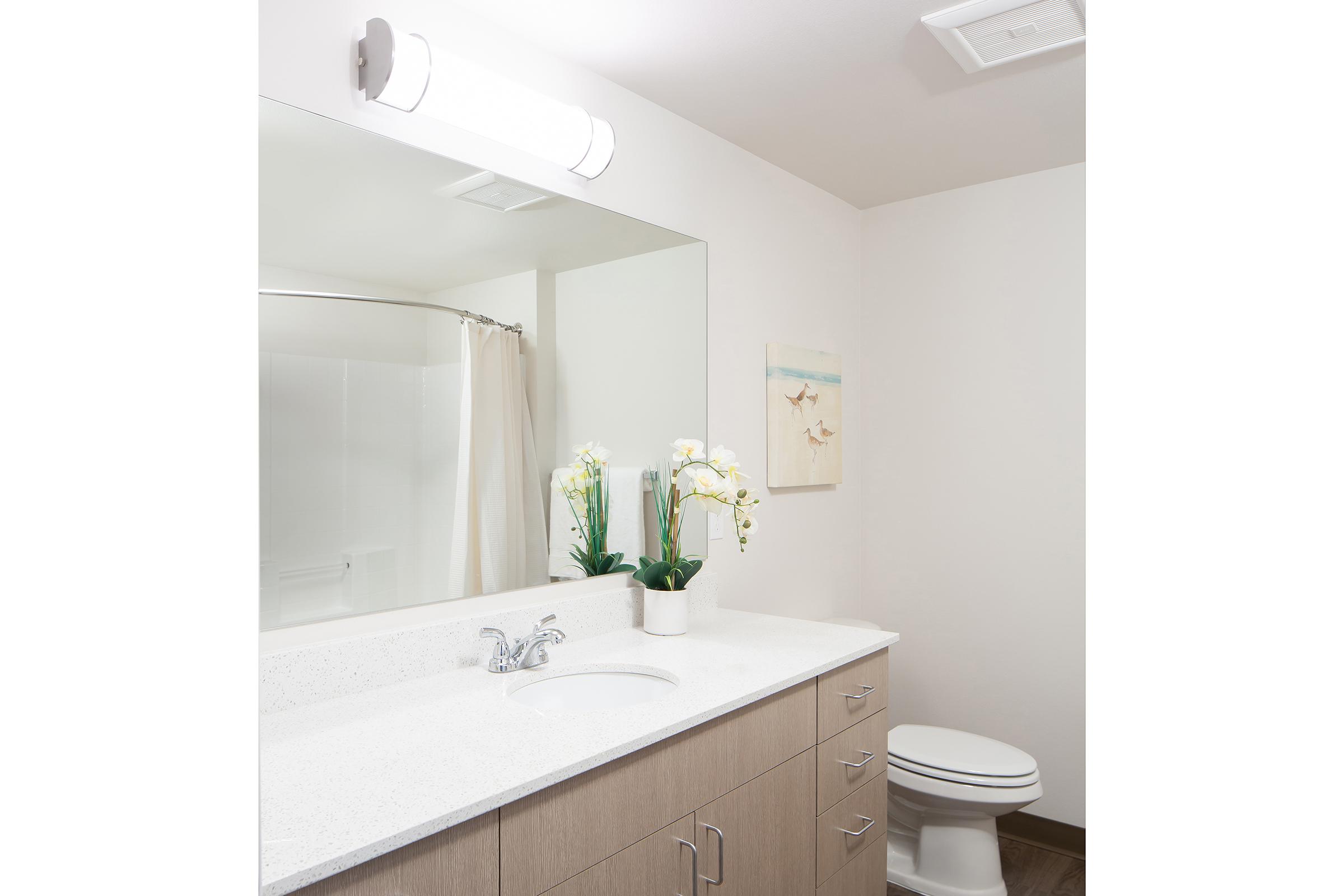 A modern bathroom featuring a clean, white countertop with a sink, a large mirror, and a light fixture above. There are potted plants and decorative items on the countertop. In the background, a shower curtain is partially visible, and a toilet is situated to the side. The overall design is minimalistic and bright.