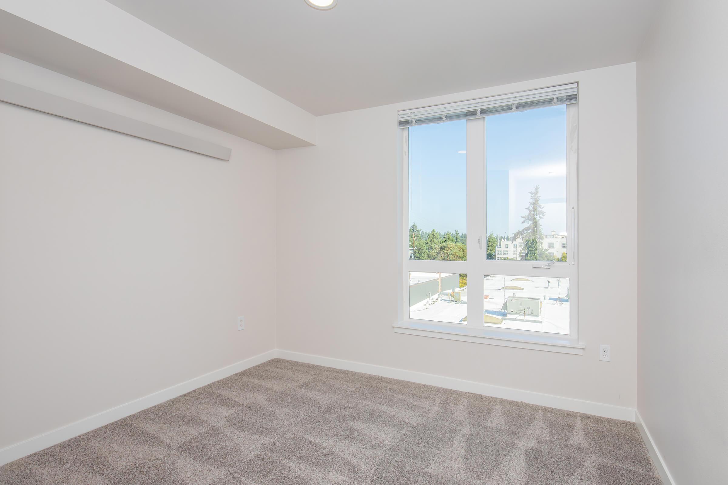Empty room with light-colored walls and plush carpet. A large window offers natural light and a view of trees outside. There is a small closet without doors on one wall. The overall atmosphere is bright and spacious, suitable for various purposes like a bedroom or office.