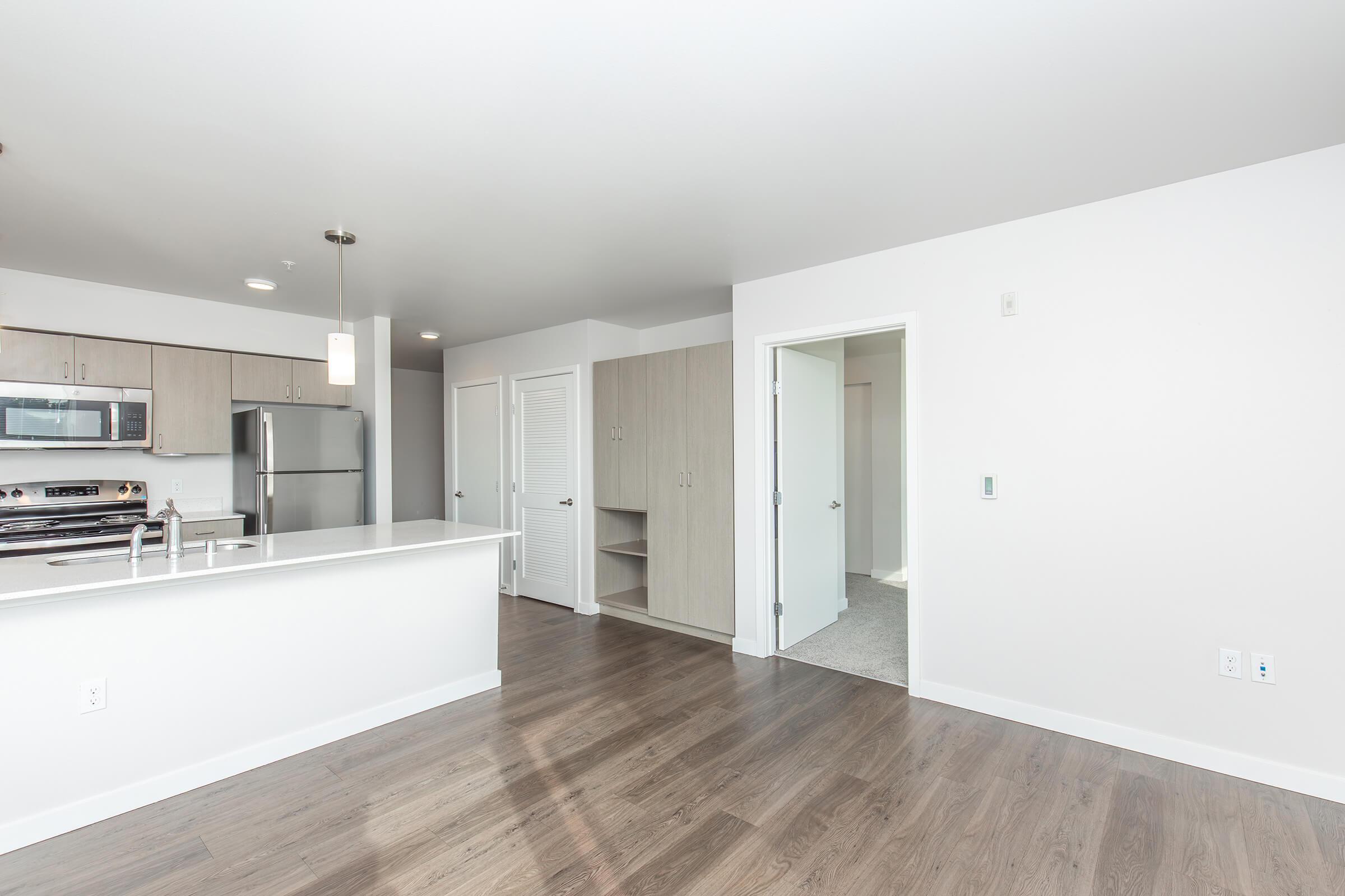 A modern kitchen and living area in an apartment. The kitchen features stainless steel appliances, a white countertop, and wooden cabinets. The space has light-colored walls and hardwood flooring, with a doorway leading to a separate room and a closet visible in the background.