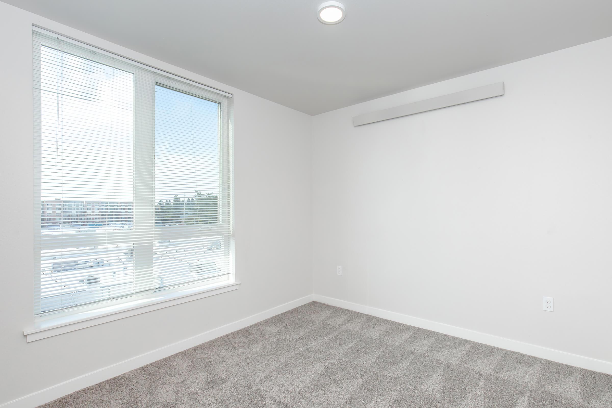 A bright, empty room with light gray walls and carpeted flooring. It features a large window with vertical blinds allowing natural light to enter. The room has a ceiling light fixture and a minimalist design, creating an airy and spacious feel.