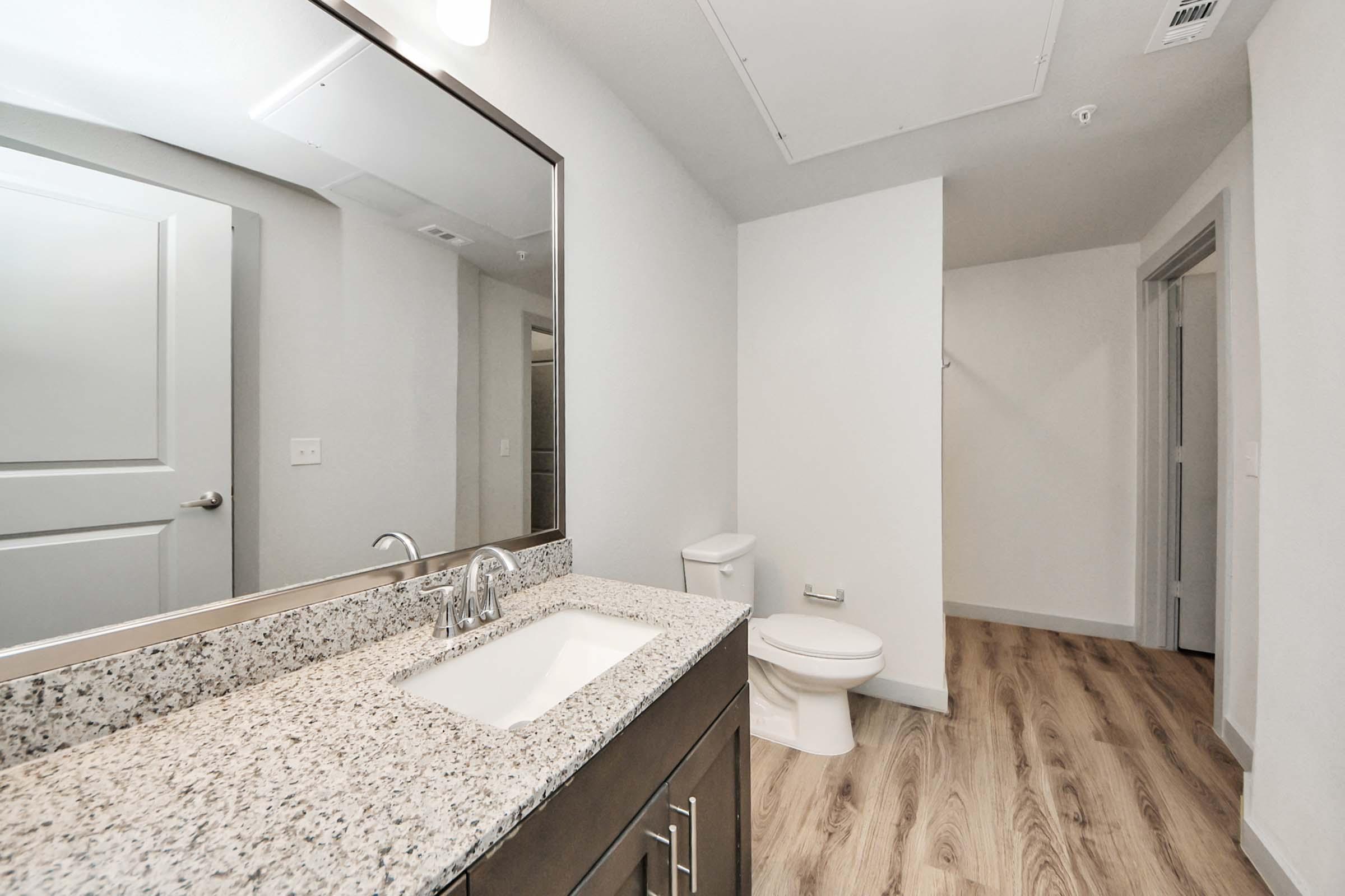 A modern bathroom featuring a countertop with a sink and a large mirror. There is a toilet and a door leading to another room. The flooring is light wood, and the walls are painted in neutral colors, creating a clean and spacious look.