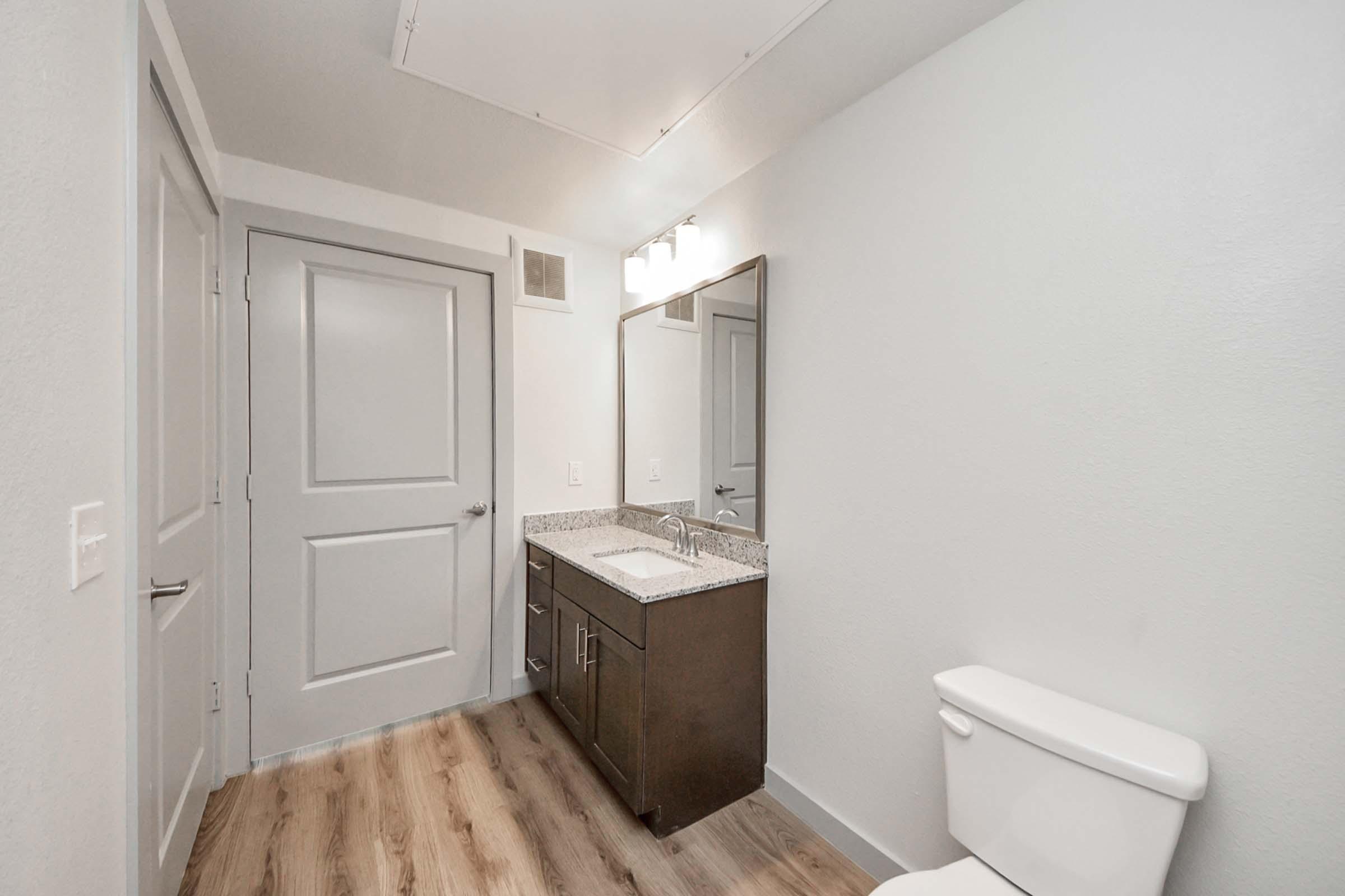 A modern bathroom featuring light gray walls, a wooden floor, a dark wood vanity with a granite countertop and sink, a large mirror above the vanity, a white toilet, and a closed door. Bright lighting is provided by wall-mounted fixtures.
