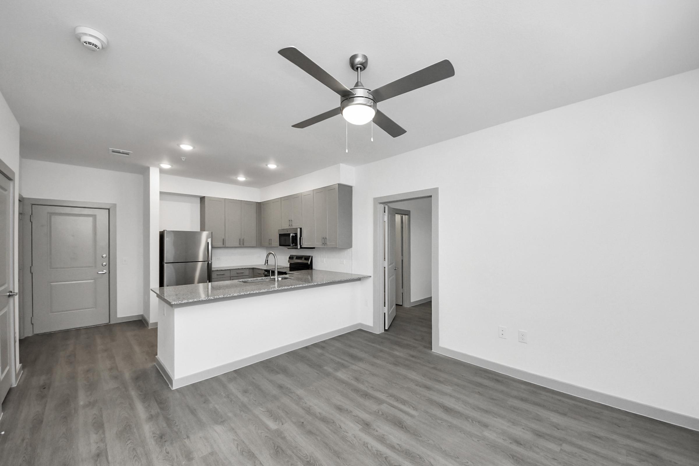 Modern, open-concept kitchen and living area featuring grey wood-like flooring, stainless steel appliances, and a ceiling fan. The kitchen showcases light-colored cabinets and a granite countertop. An entry door is visible on the left, with a doorway leading to another room on the right. Overall, the space is bright and airy.