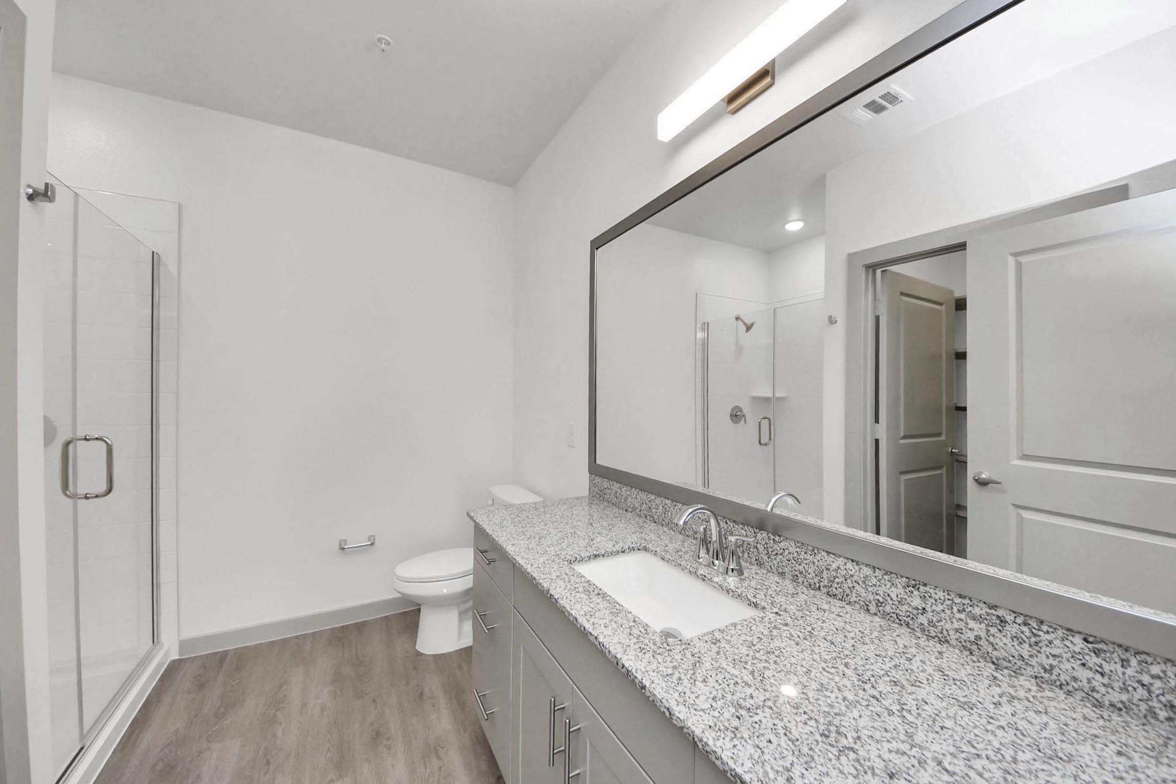 Modern bathroom with a spacious layout. Features a large granite vanity with dual sinks, a large framed mirror, a white toilet, and a walk-in shower with transparent glass doors. The flooring is light-colored, and the walls are painted a soft white, creating a clean and bright atmosphere.