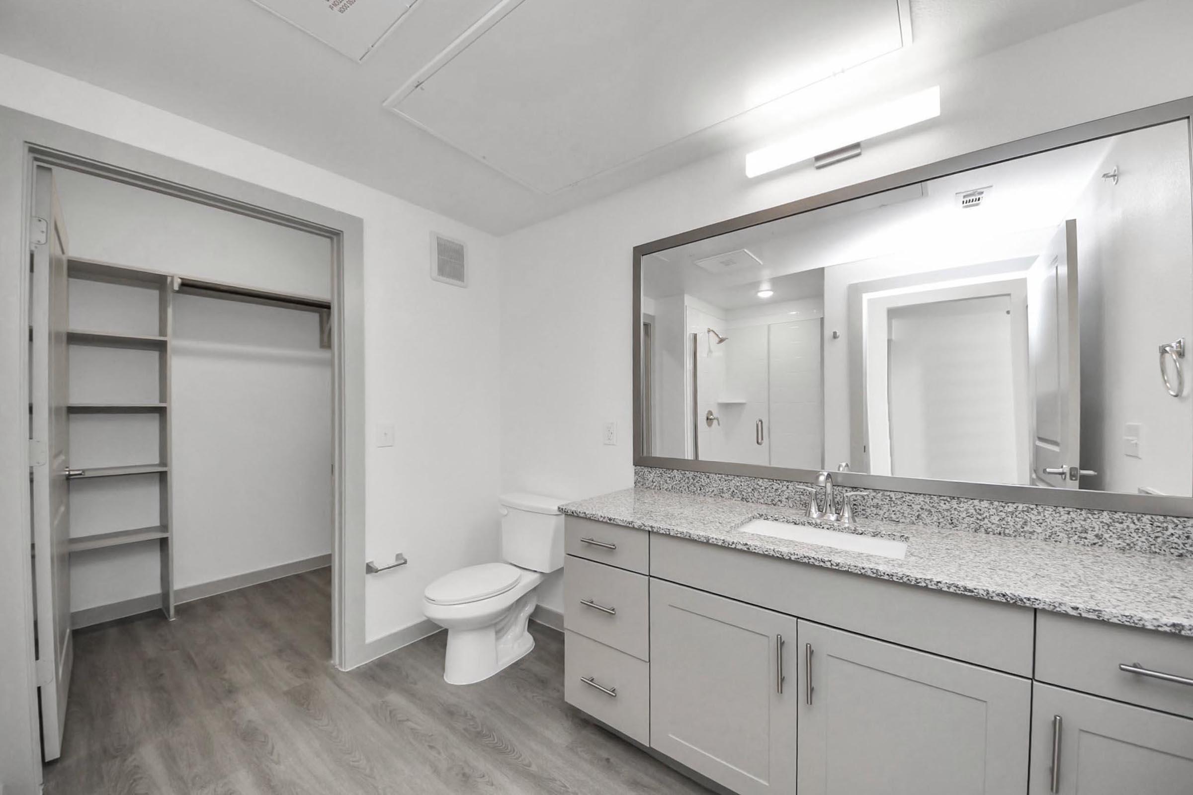 A modern bathroom featuring a large vanity with a mirror, a toilet, and a spacious closet. The floor has light wood-like tiles and the walls are painted in a neutral color. The vanity has a granite countertop and a sleek faucet. Ample natural light is provided by a ceiling fixture.
