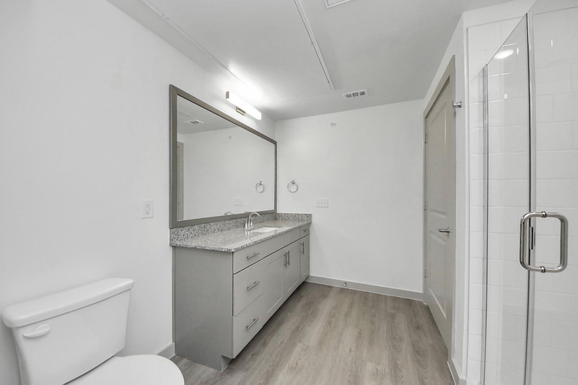 Modern bathroom featuring a spacious vanity with a large mirror, gray cabinetry, and a sink. A white toilet is located next to the vanity, and a glass shower stall is visible on the right. The room has light-colored walls and wood-like flooring, creating a clean and contemporary look.