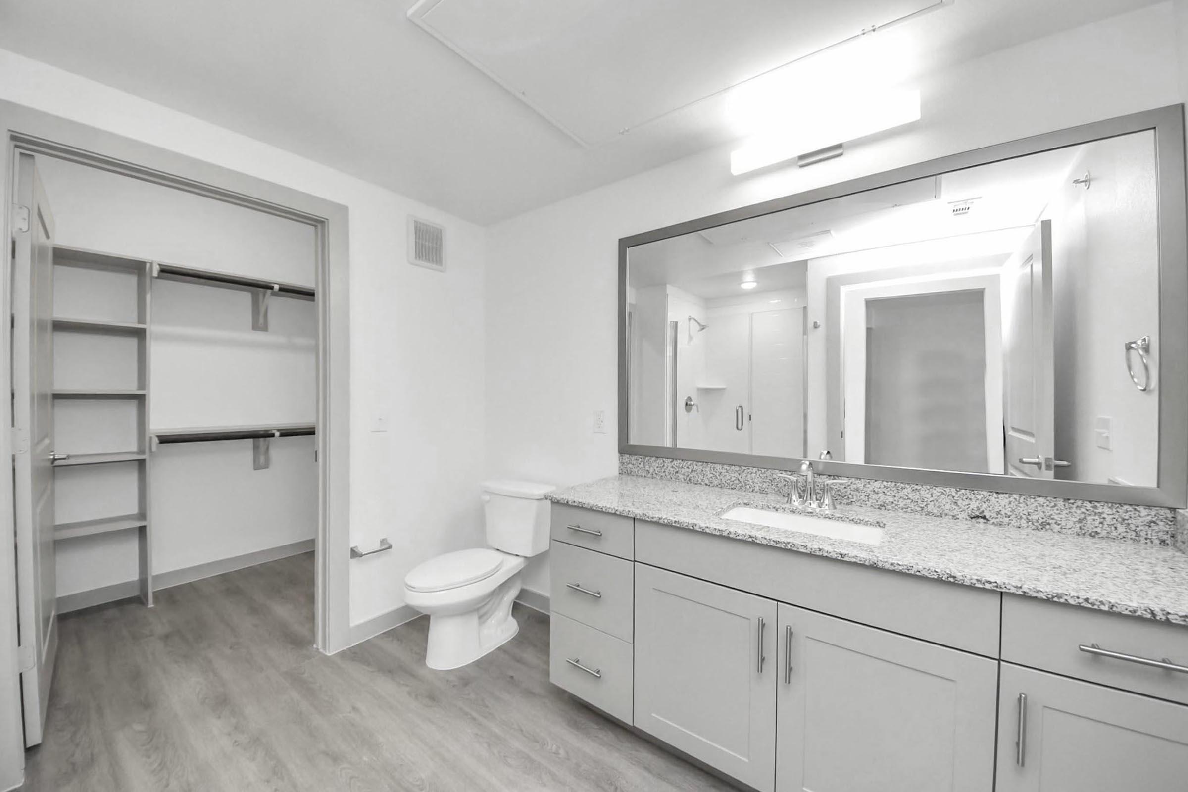 A bright and modern bathroom featuring a large mirror above a double sink vanity with gray cabinets and a granite countertop. There's a toilet and a spacious closet with open shelving visible in the background. The flooring is a light wood-like material, enhancing the contemporary feel.