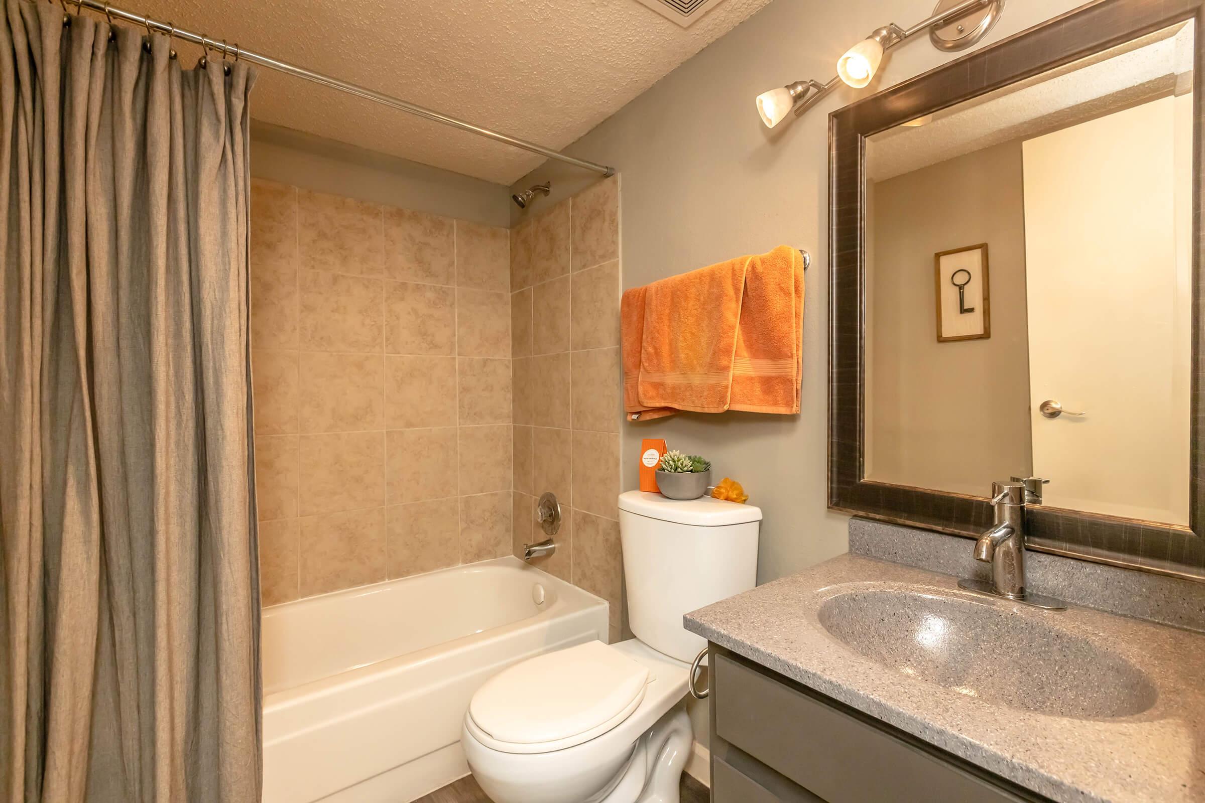 a shower that has a sink and a mirror