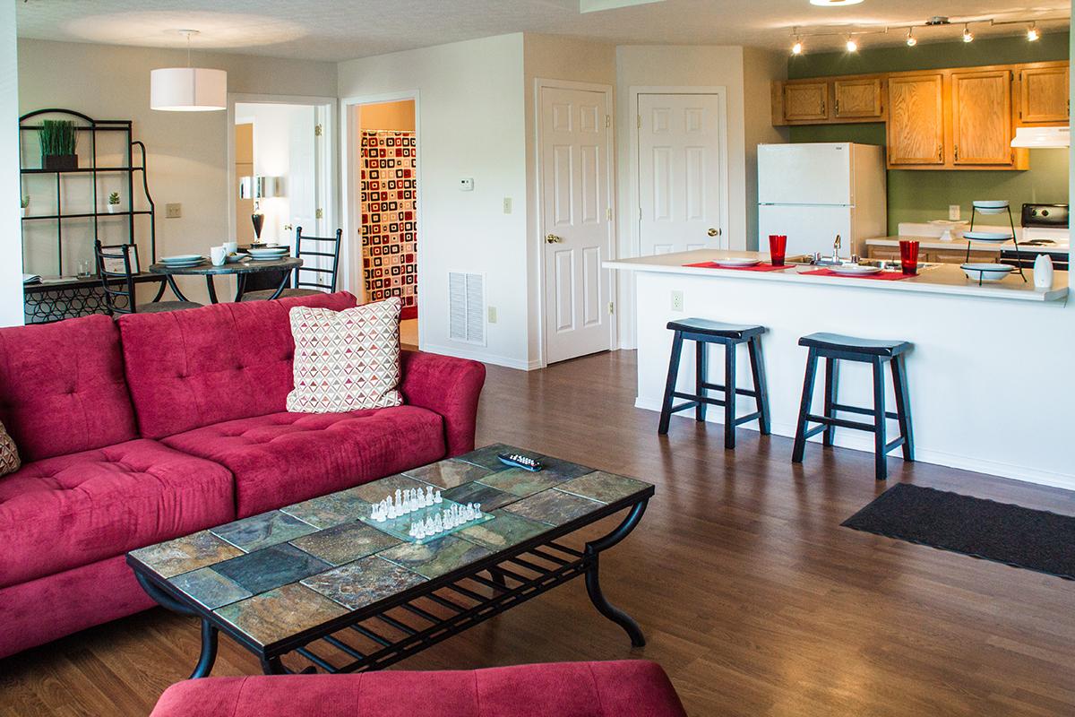 Living Room and Breakfast Bar area