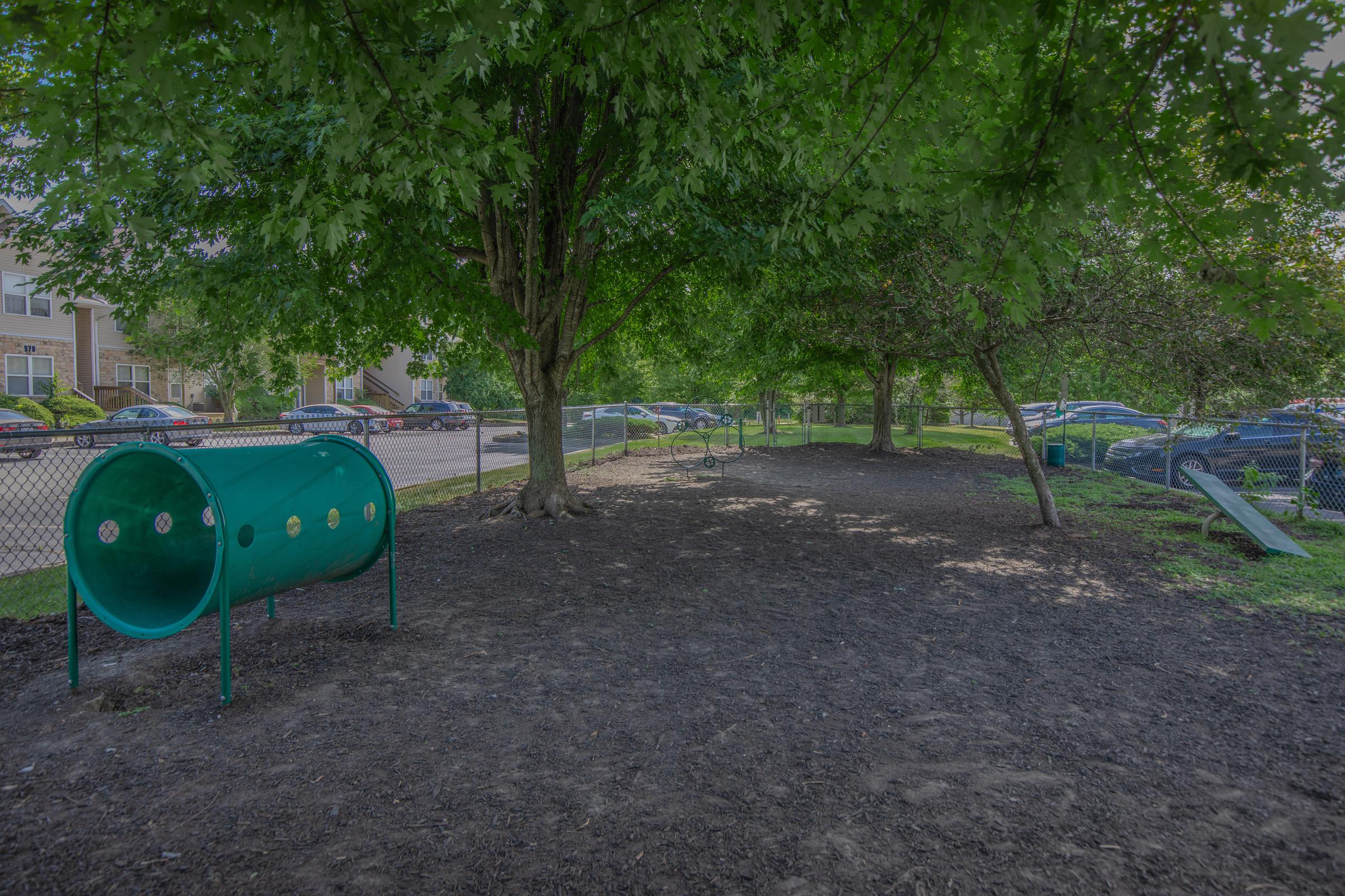 Bark Park at Bloom apartments