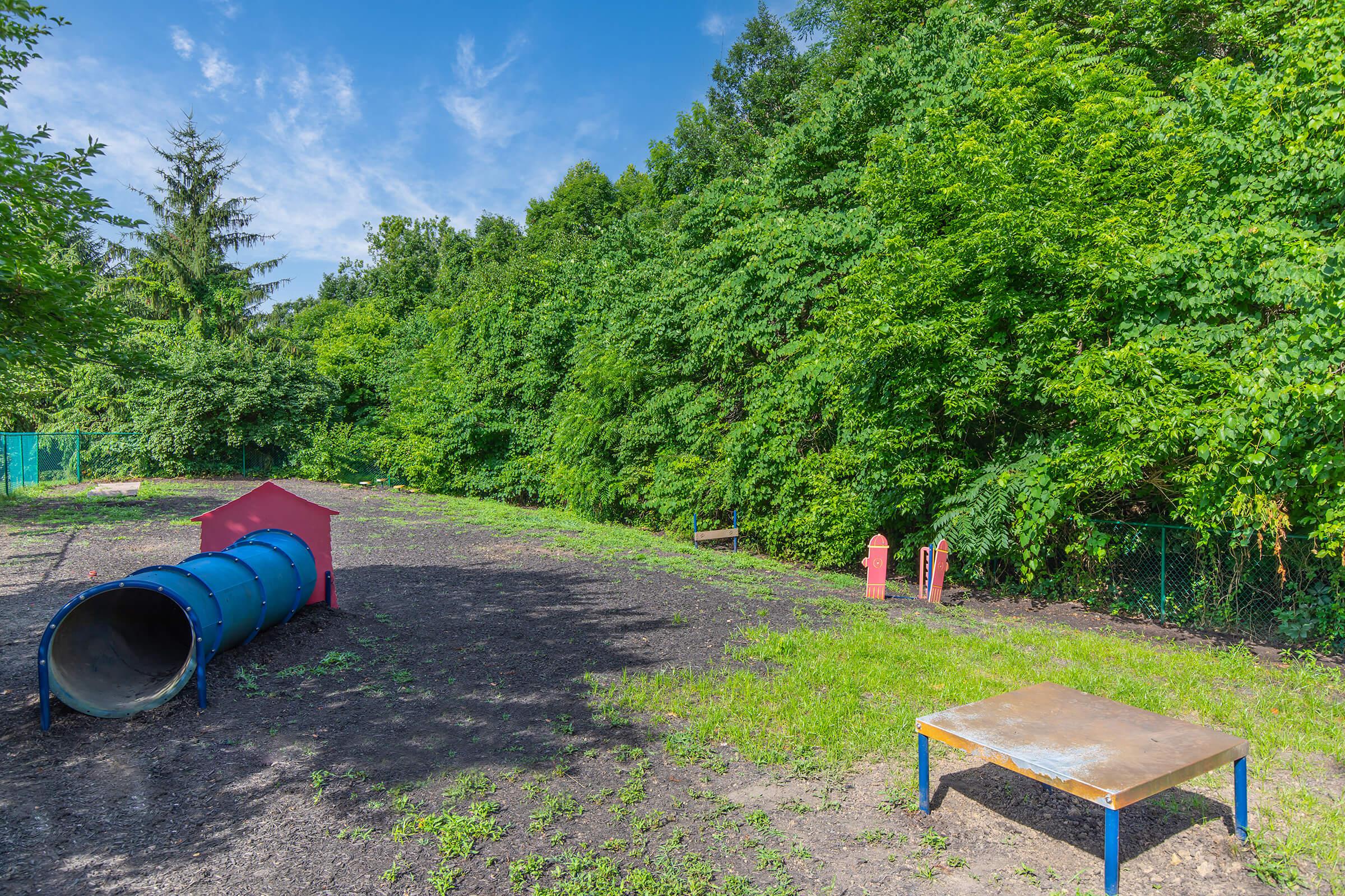 Bark Park at Millennium