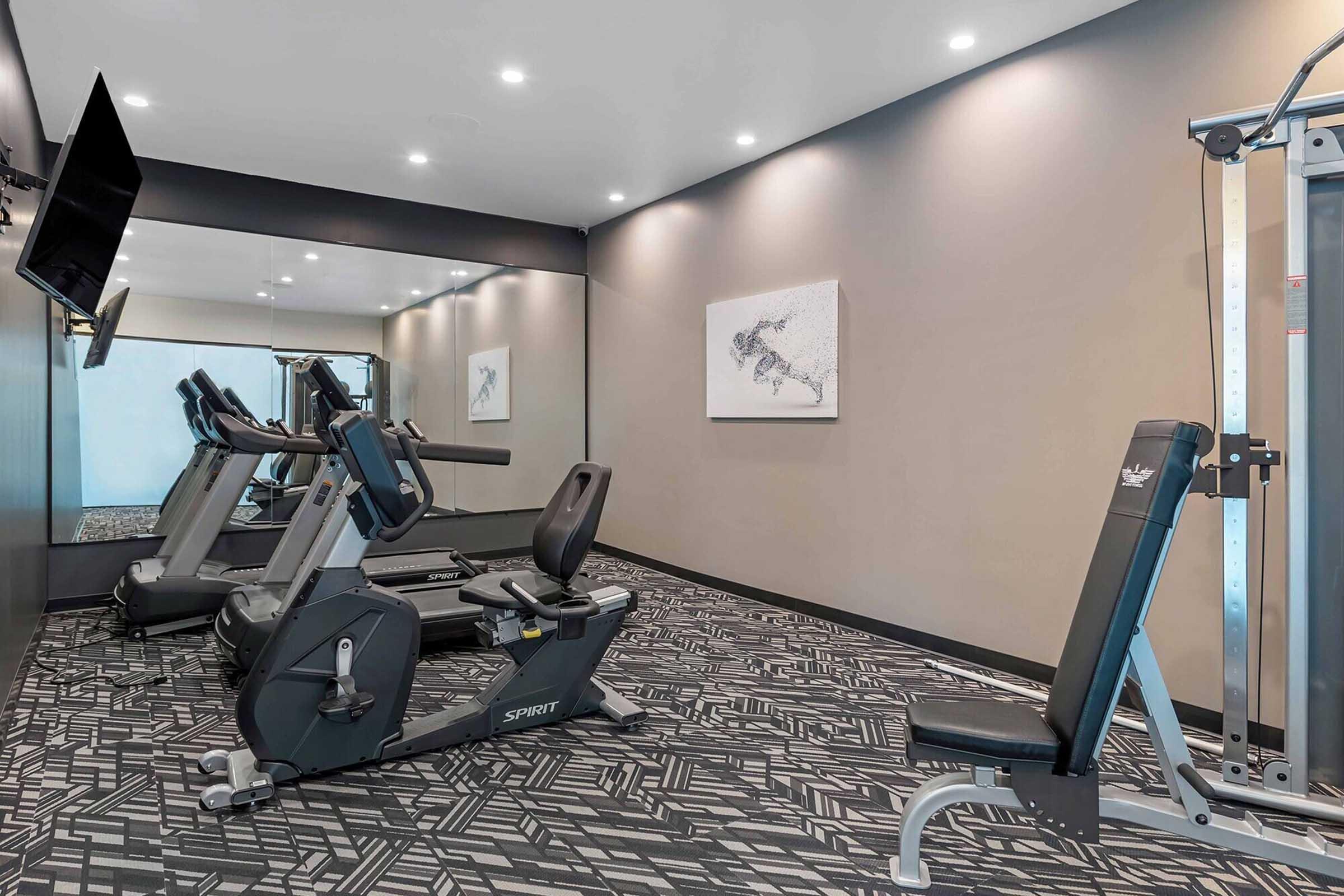 A modern gym interior featuring exercise equipment including stationary bikes and a weight machine. The space is well-lit with neutral-colored walls, a large mirror, and a flat-screen TV mounted on the wall. Artistic decor is present, adding a touch of style to the fitness area.