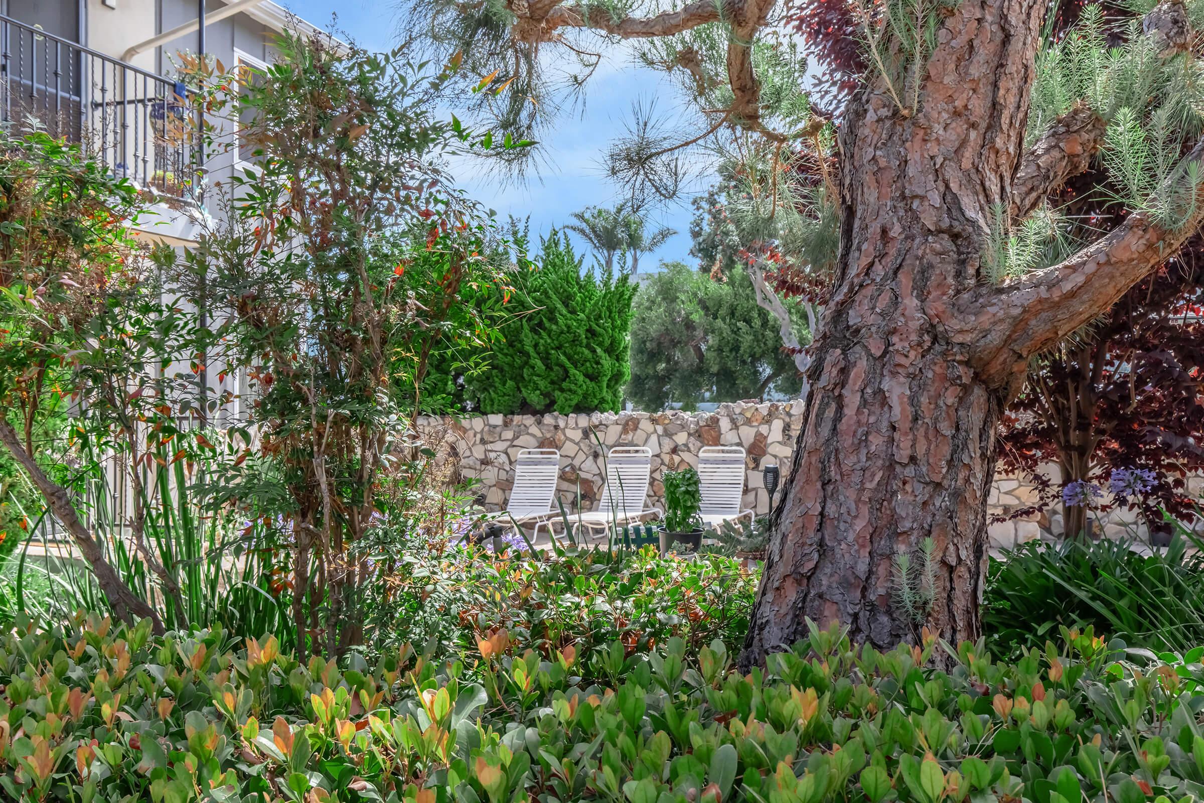 Lush garden scene featuring a large tree with textured bark, vibrant greenery, and a stone wall in the background. Two white lounge chairs are visible among the plants, creating a serene outdoor space with a sunny sky above.