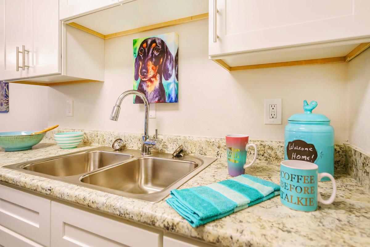 Get Organized with Newly Renovated Cabinets At Nob Hill in Nashville, TN