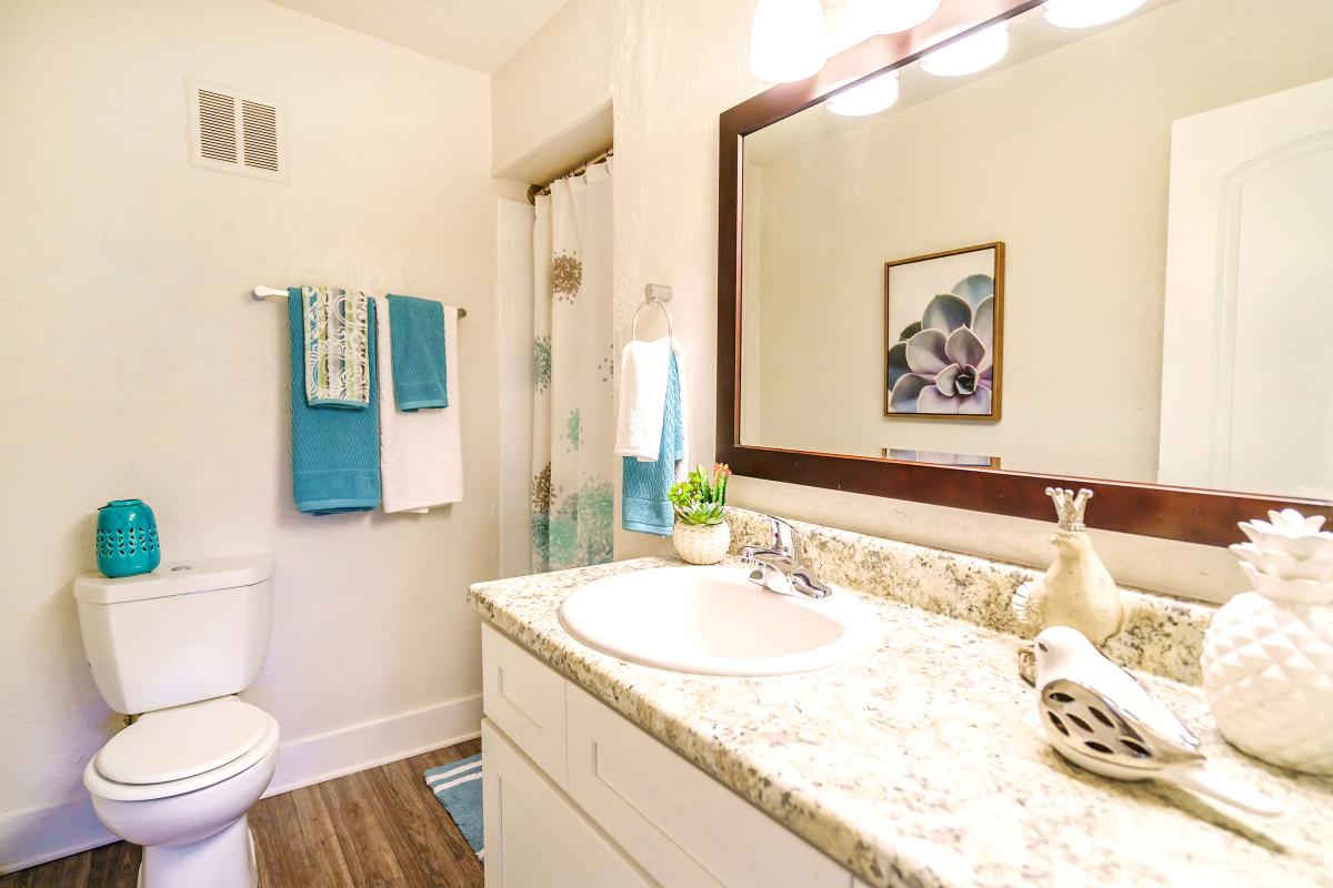 Spacious Bathrooms in Nob Hill in Nashville, TN