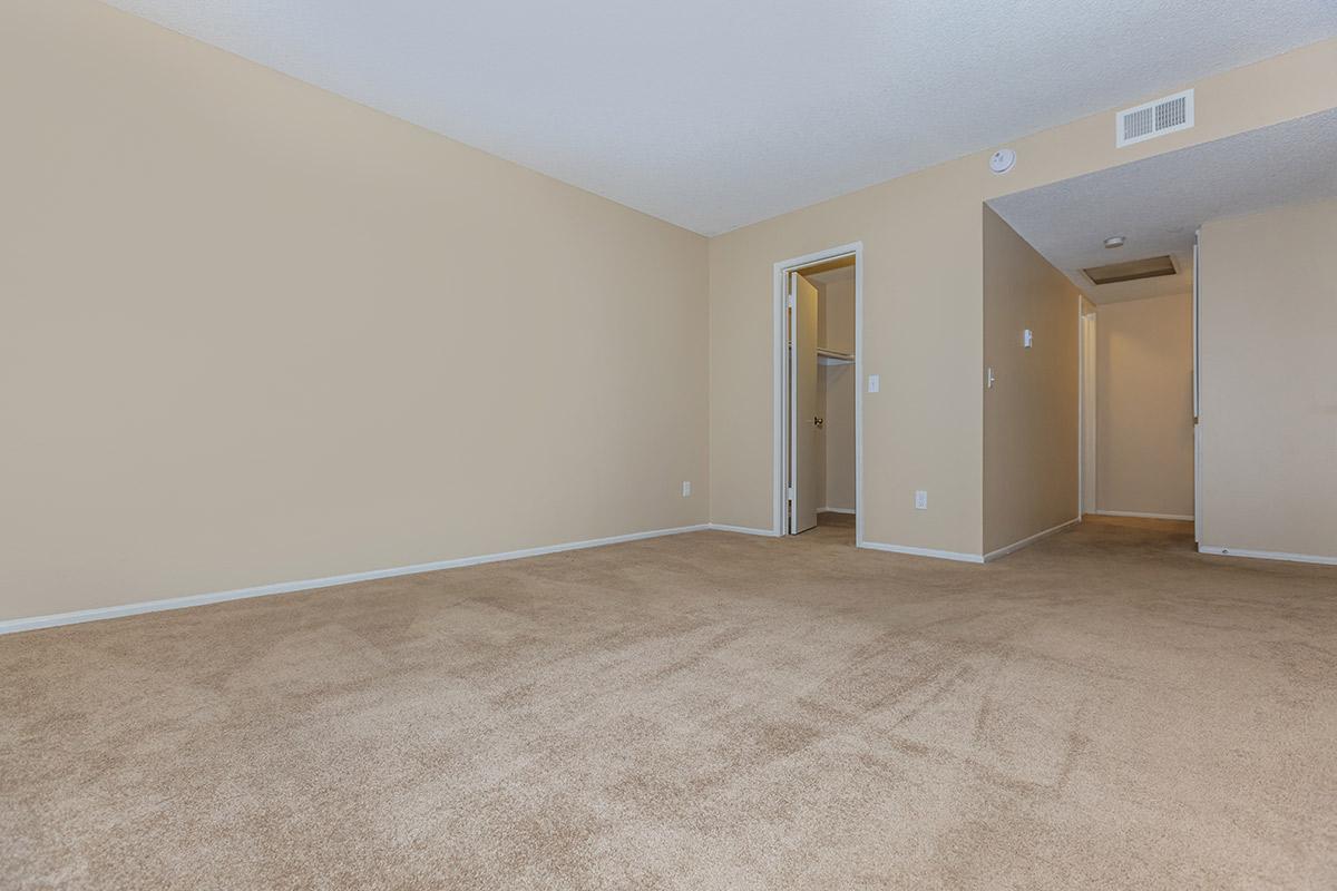 Carpeted bedroom with open walk-in closet