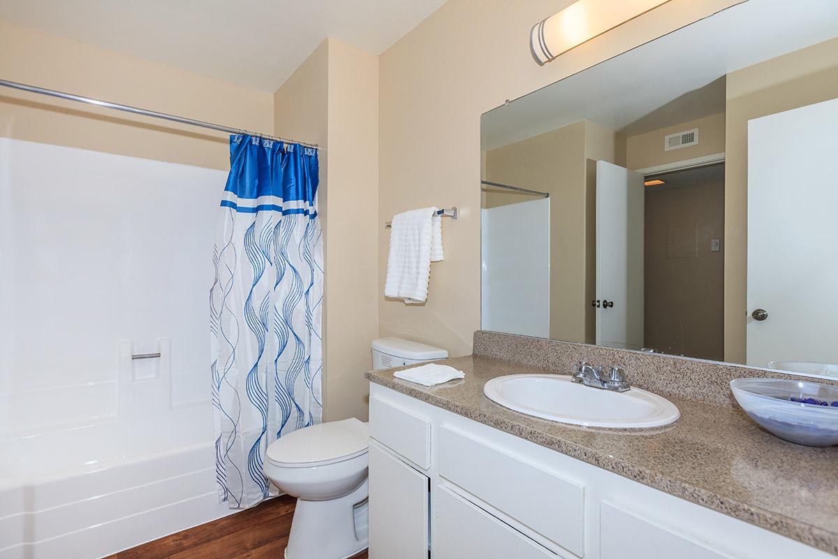 Bathroom with pattered shower curtain