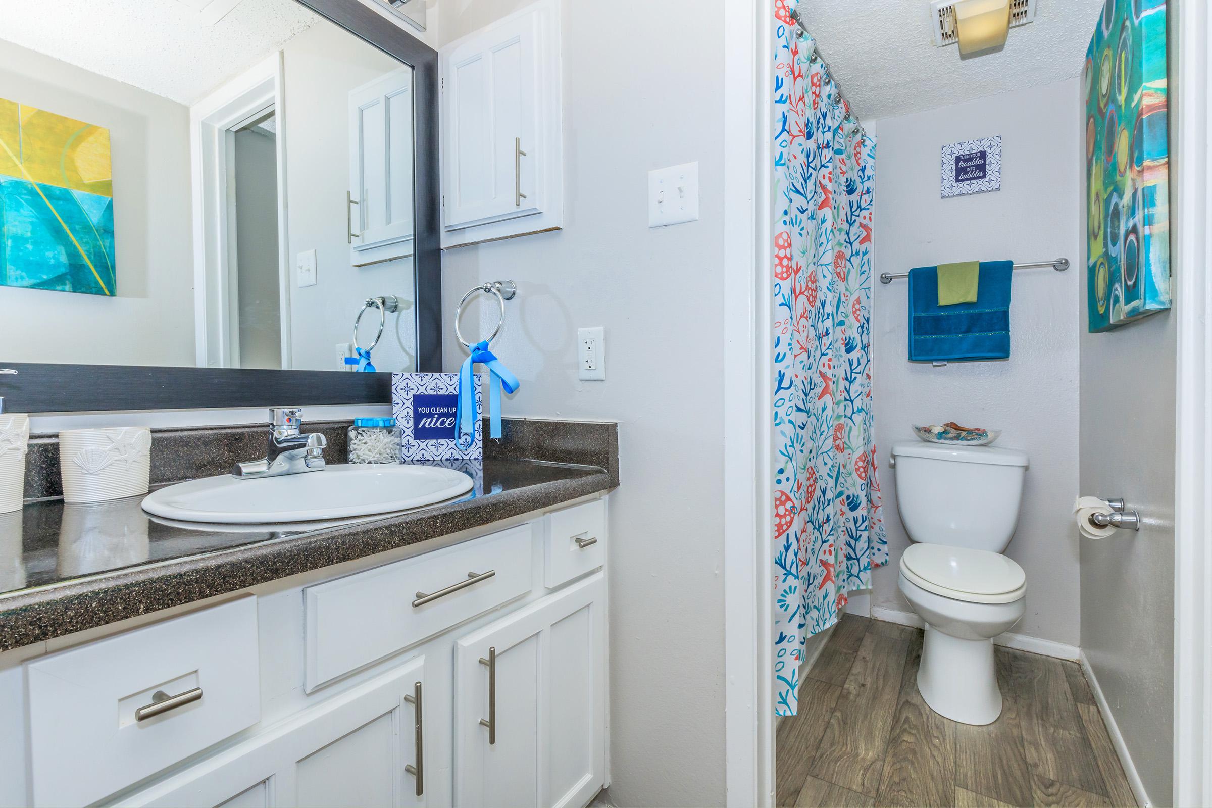 MODERN BATHROOM IN SAN ANTONIO, TX