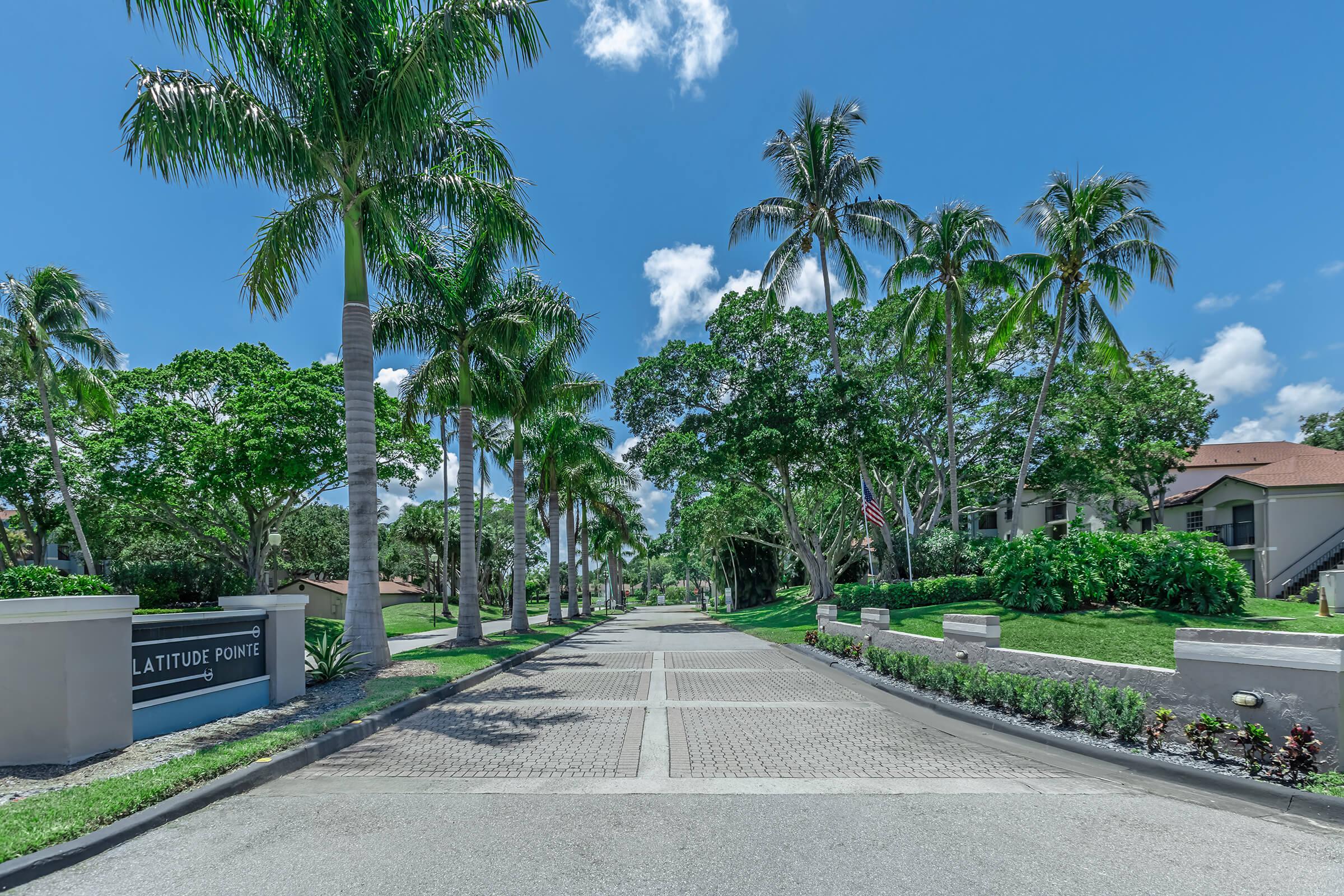 a tree in front of a palm tree