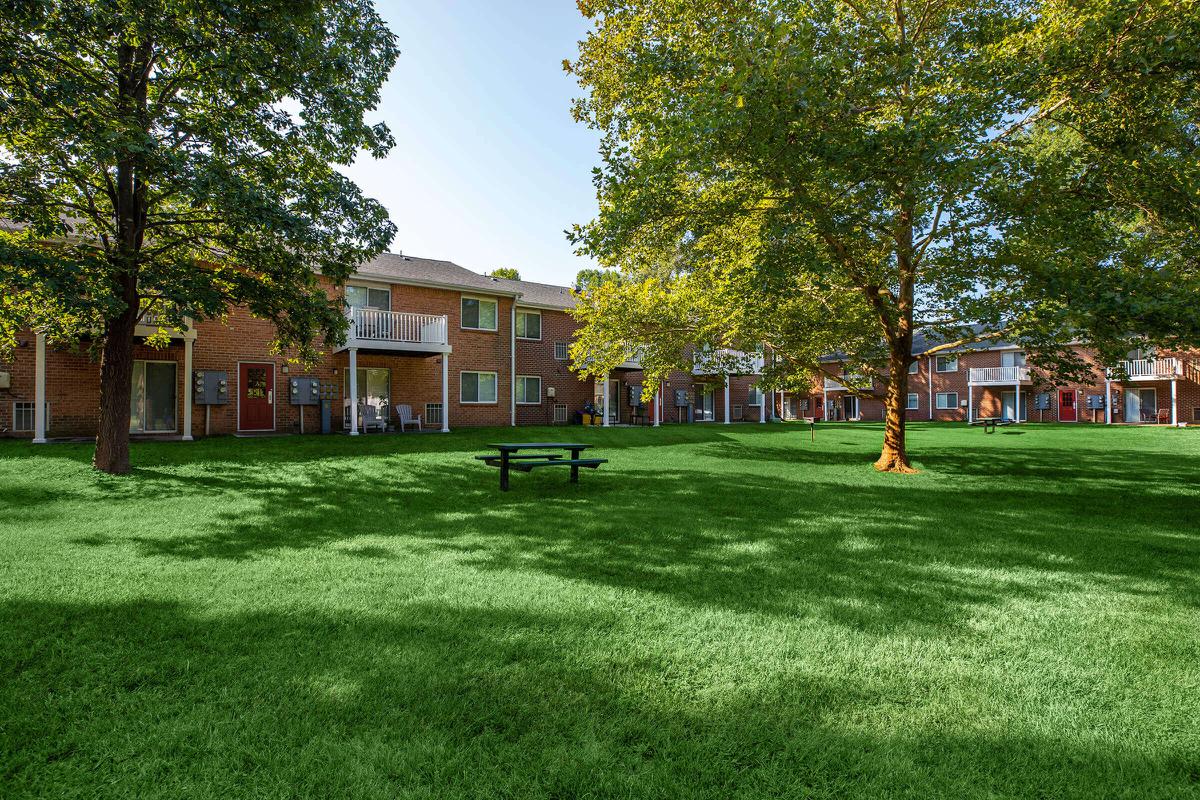 a group of lawn chairs sitting on top of a grass covered field