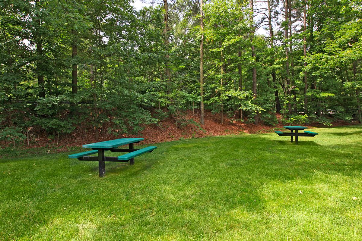 an empty park bench sitting in the middle of a lush green field