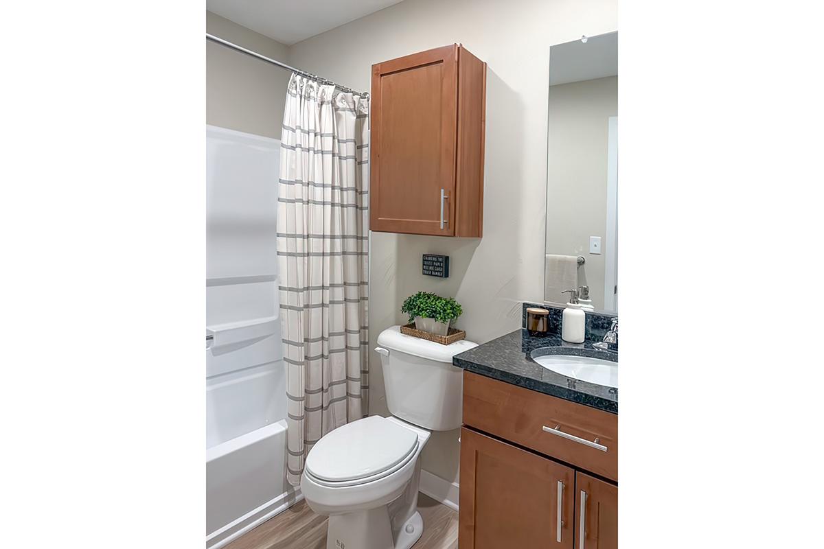 A modern bathroom featuring a white toilet, a sink with a dark countertop, and wooden cabinetry. A shower area is separated by a light-colored striped curtain. There are decorative elements like a small potted plant and a candle on the countertop, creating a clean and organized appearance.