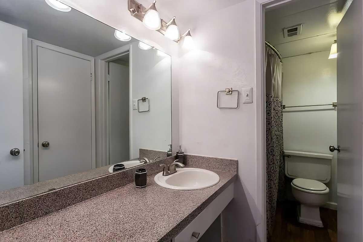 A modern bathroom featuring a large mirror above a granite countertop with a sink. There are two light fixtures above the mirror. The bathroom includes a shower curtain and a visible toilet separated by a partial wall. White walls and a clean, minimalist design contribute to a bright atmosphere.