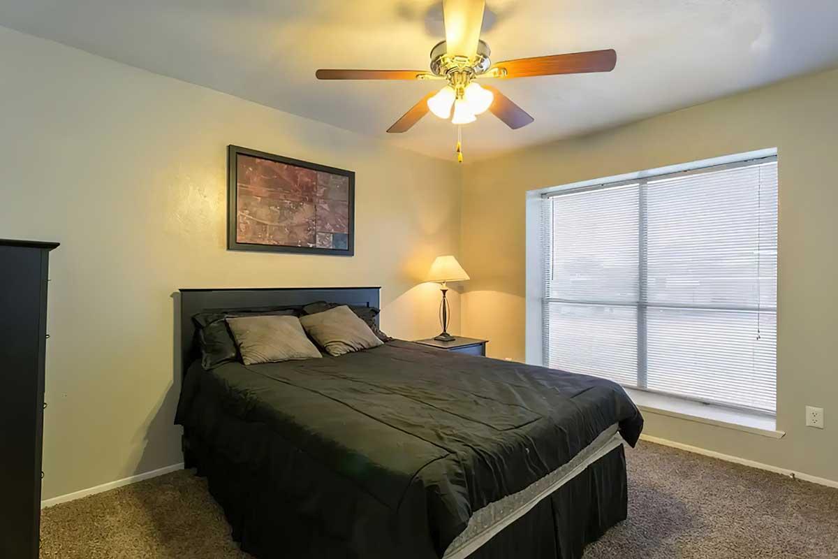 A cozy bedroom featuring a black bed with dark bedding, a ceiling fan, and a bedside lamp. There is a window with blinds allowing natural light in, and a piece of art hanging on the wall. The carpet is lightly colored, creating a warm atmosphere.