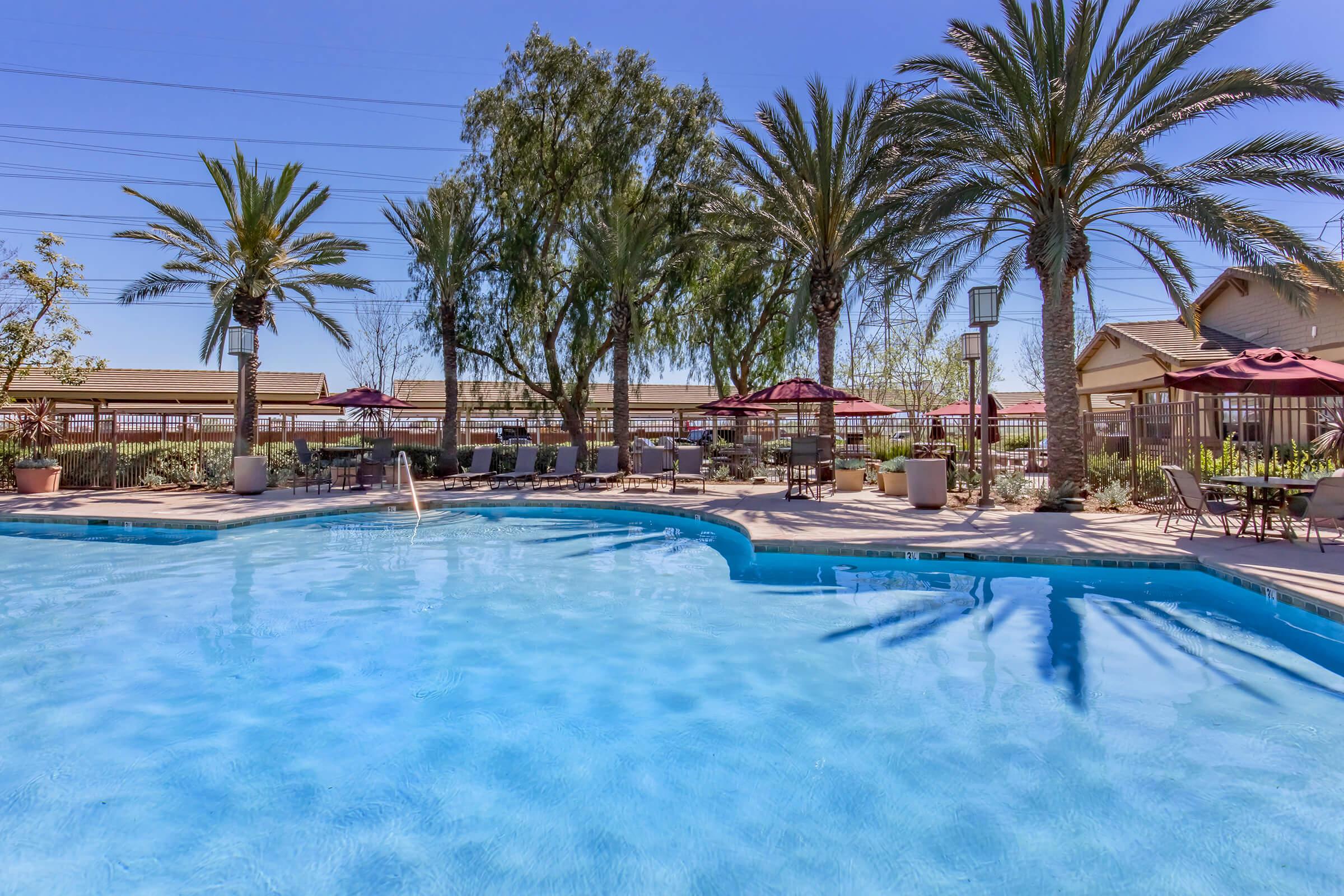 A tranquil swimming pool surrounded by palm trees and loungers. Umbrella-covered seating areas are nearby, creating a relaxed atmosphere under a clear blue sky. The landscape features a mix of greenery and paved pathways, perfect for a leisurely day outdoors.