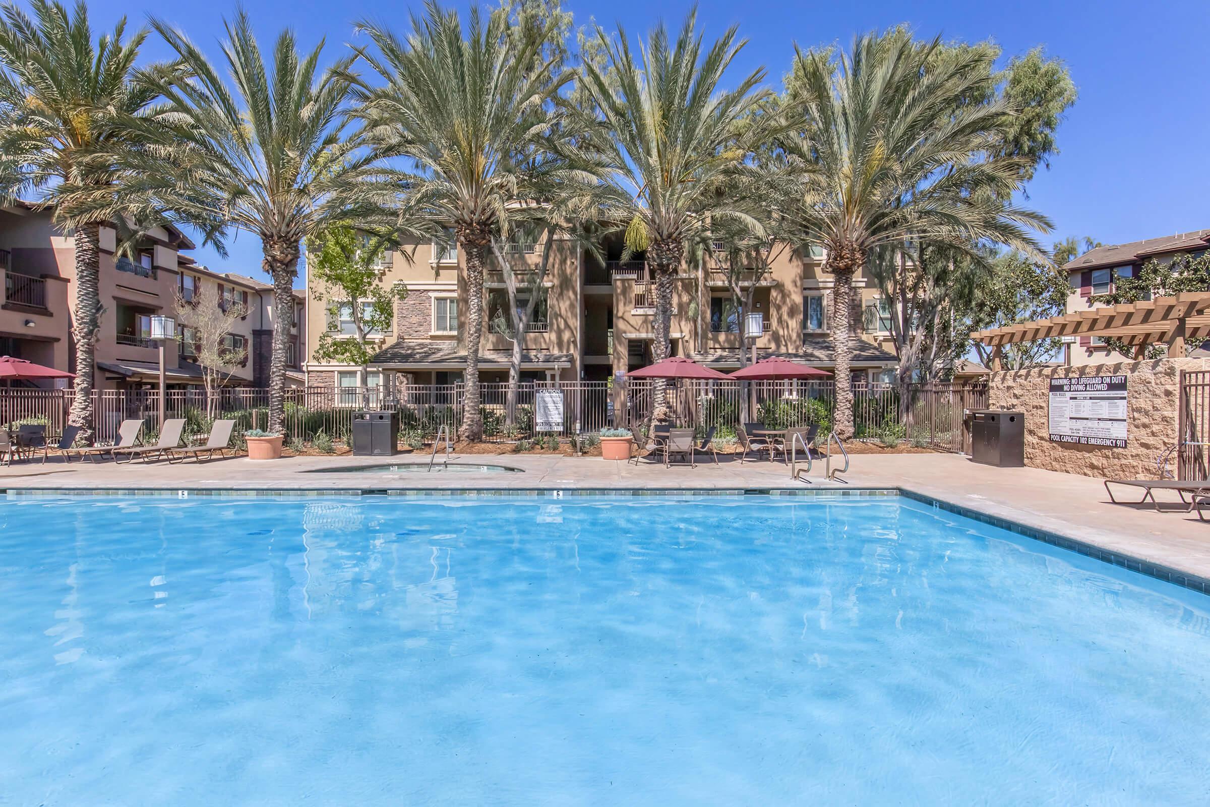 A clear blue swimming pool surrounded by palm trees and lounging chairs. In the background, there are apartment buildings with patio umbrellas. The scene is bright and sunny, creating a relaxing outdoor atmosphere.