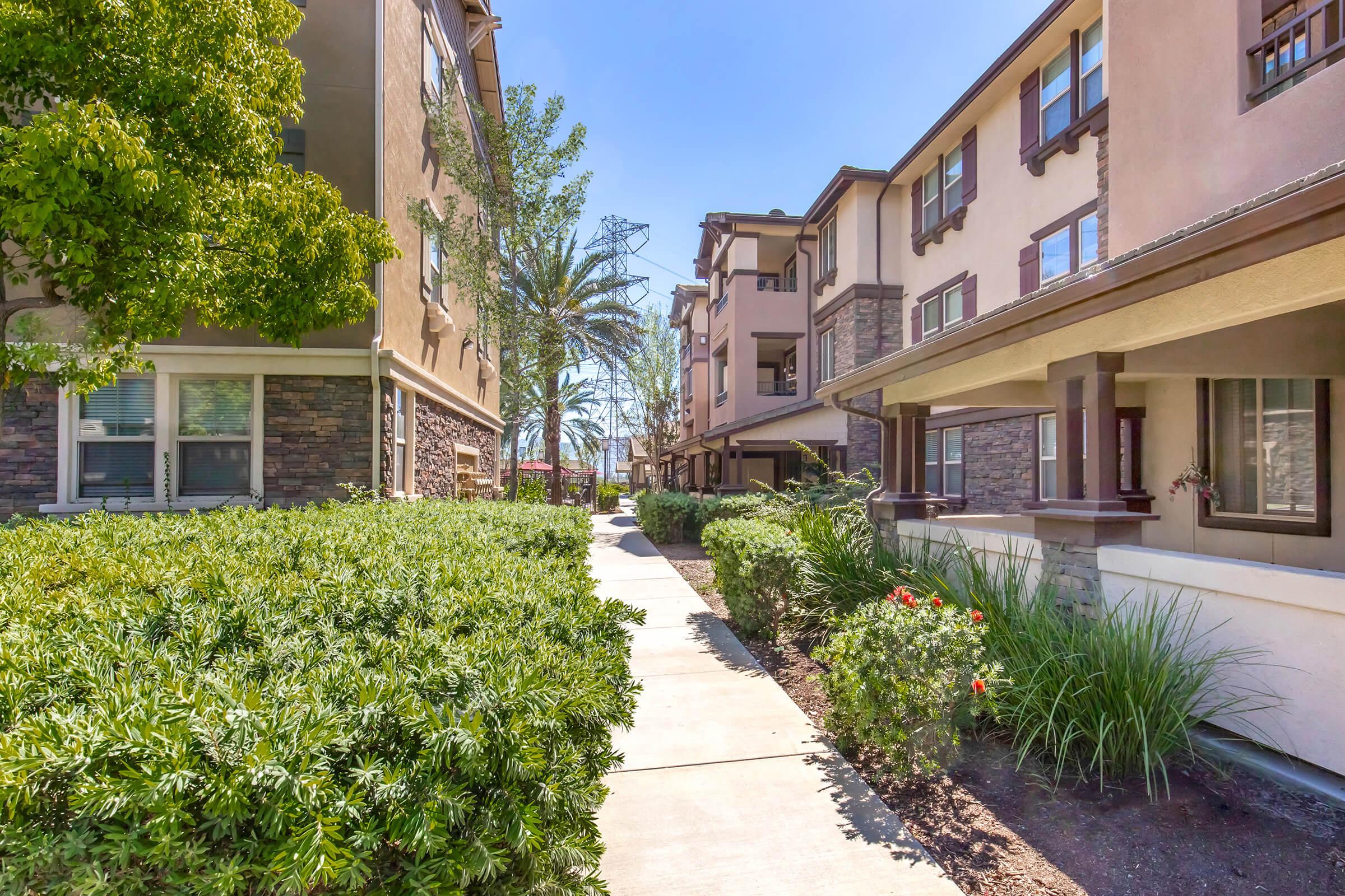 A well-maintained residential walkway lined with lush greenery, shrubs, and small trees, flanked by modern apartment buildings. The path leads through the complex under a clear blue sky, with landscaping that enhances the inviting atmosphere of the community.