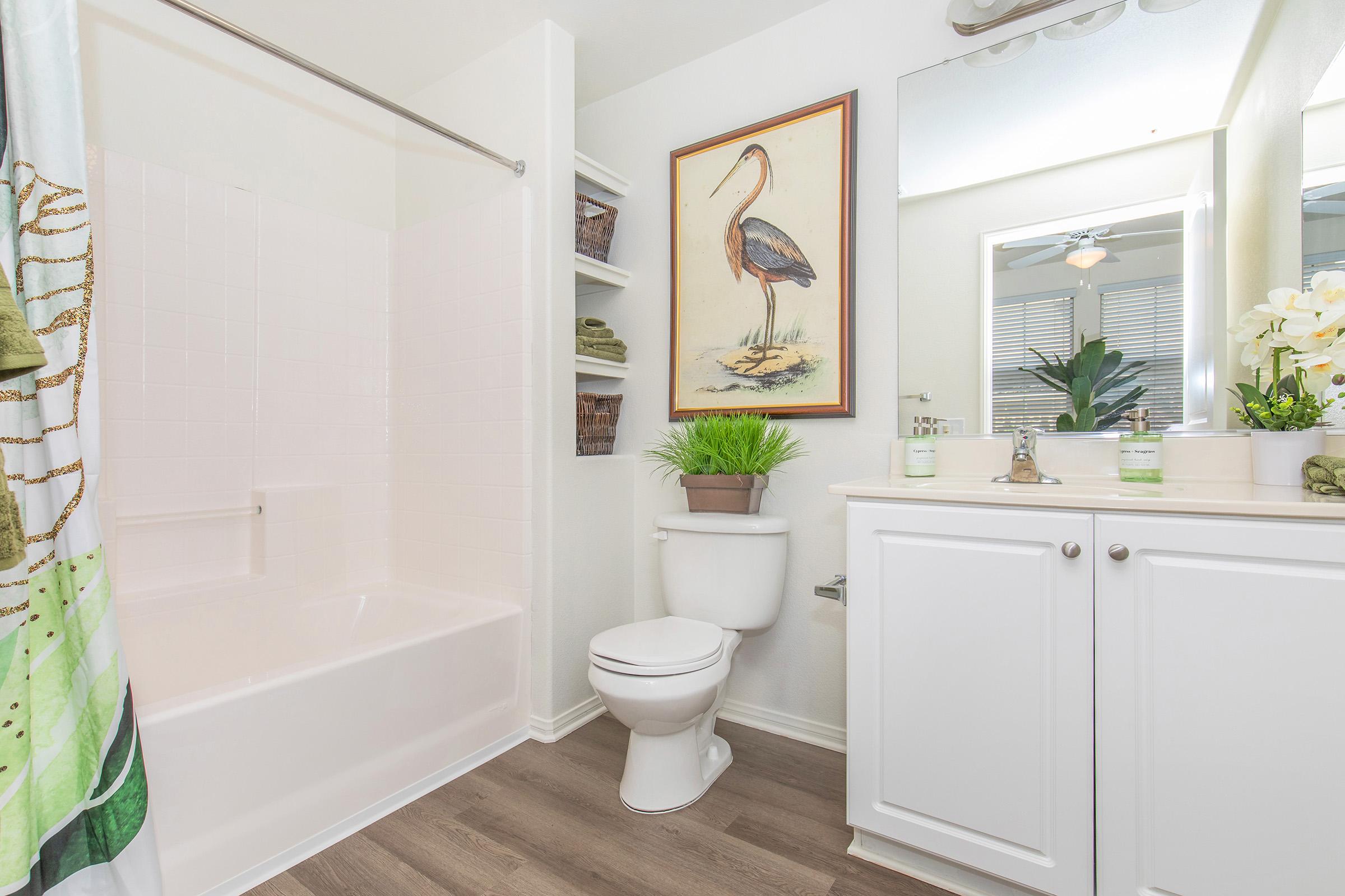 A bright bathroom featuring a shower-tub combo, a modern toilet, and a vanity with a mirror. Decorative items include a potted plant, neatly arranged towels, and a framed bird print on the wall. The color scheme is light, with a shower curtain that has a vibrant green and white design.
